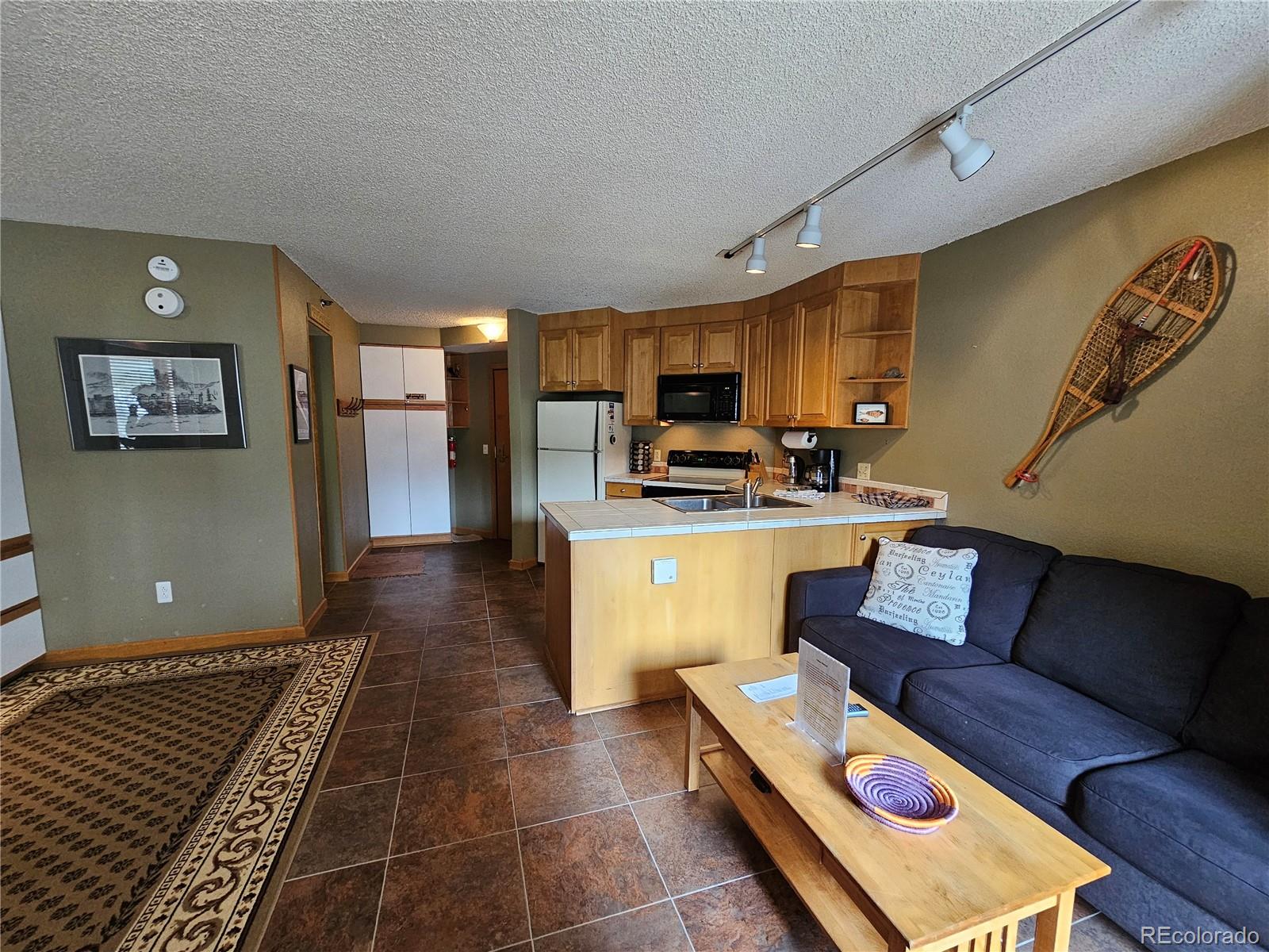 MLS Image #8 for 313  iron horse way,winter park, Colorado