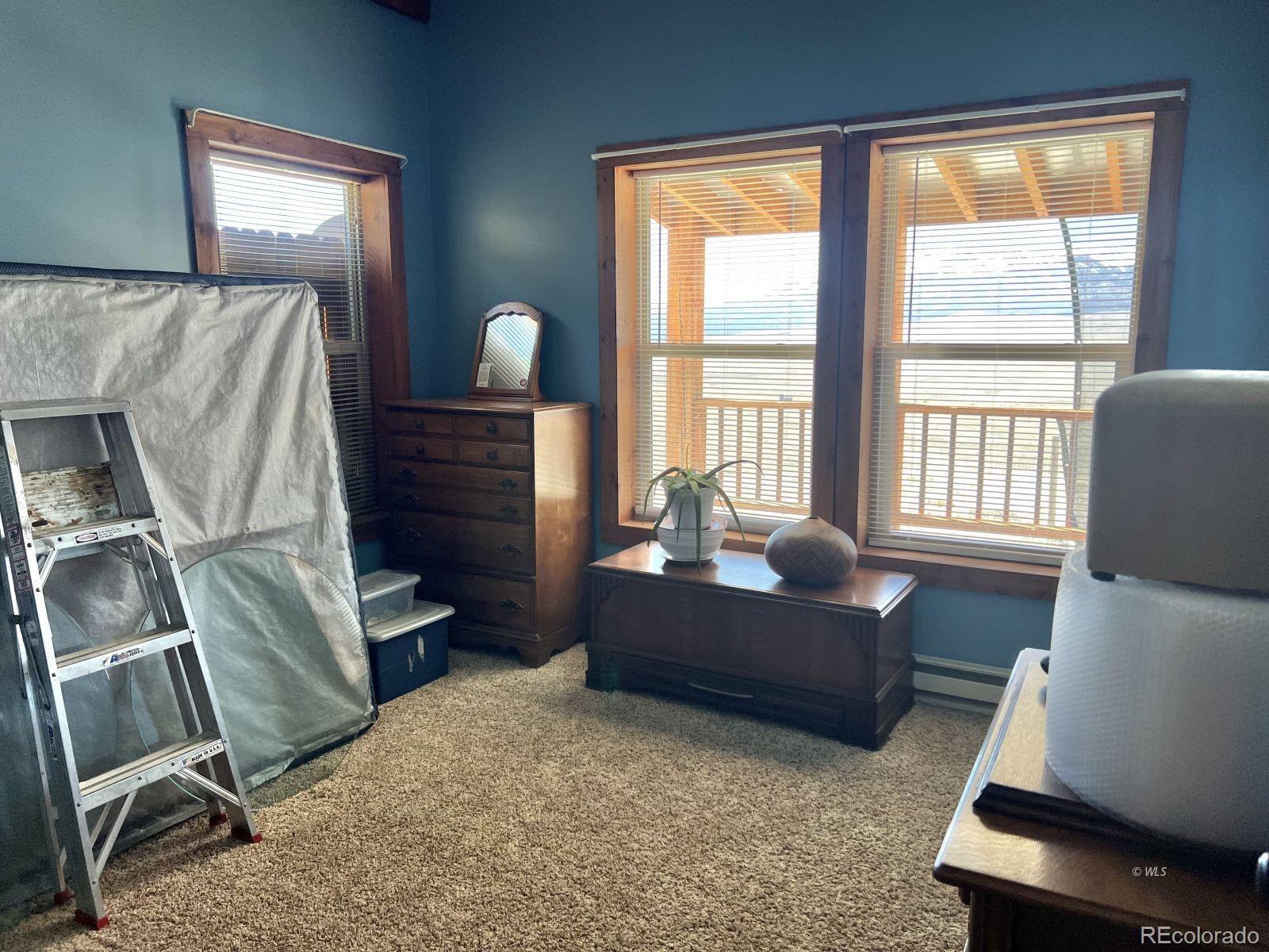 MLS Image #12 for 1100  kit carson road,westcliffe, Colorado