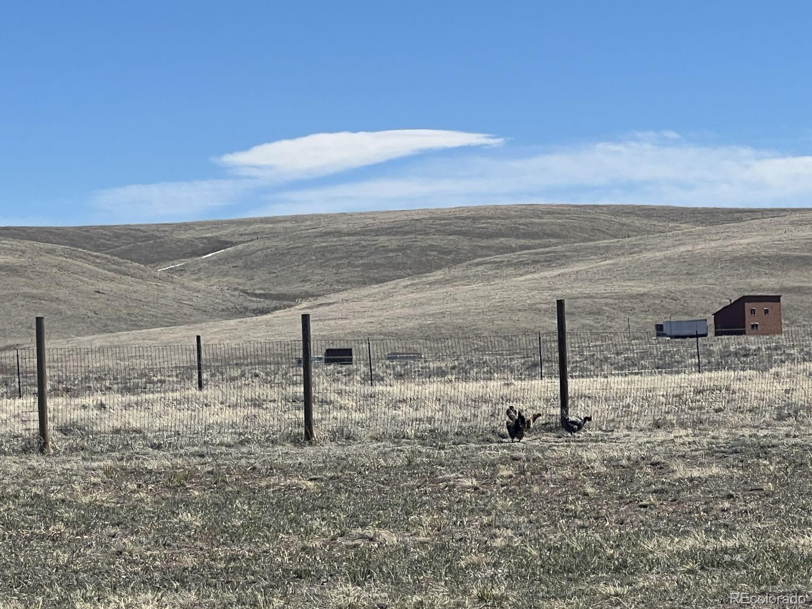 MLS Image #24 for 1100  kit carson road,westcliffe, Colorado