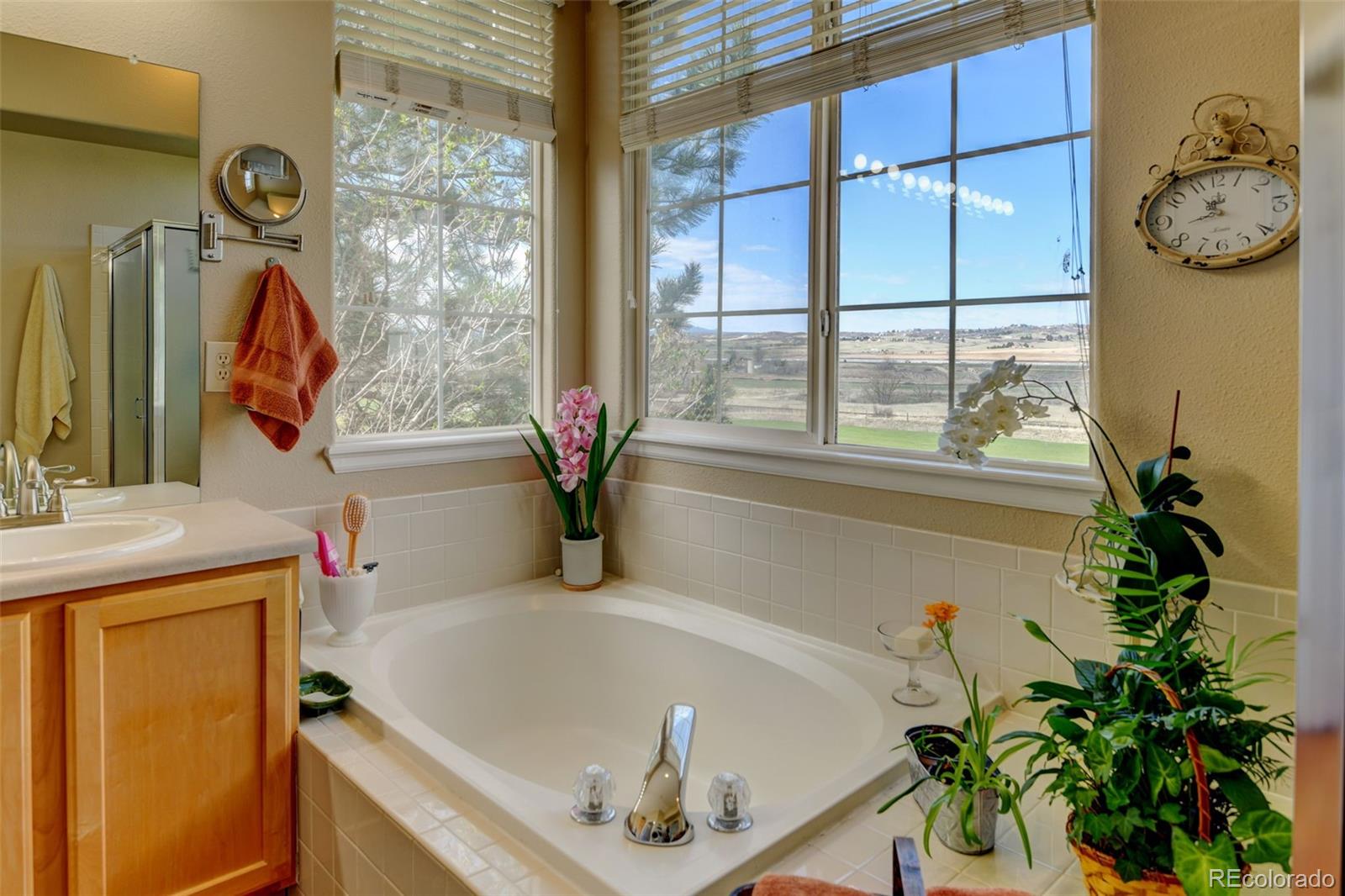 MLS Image #21 for 3347  compass circle 44,castle rock, Colorado