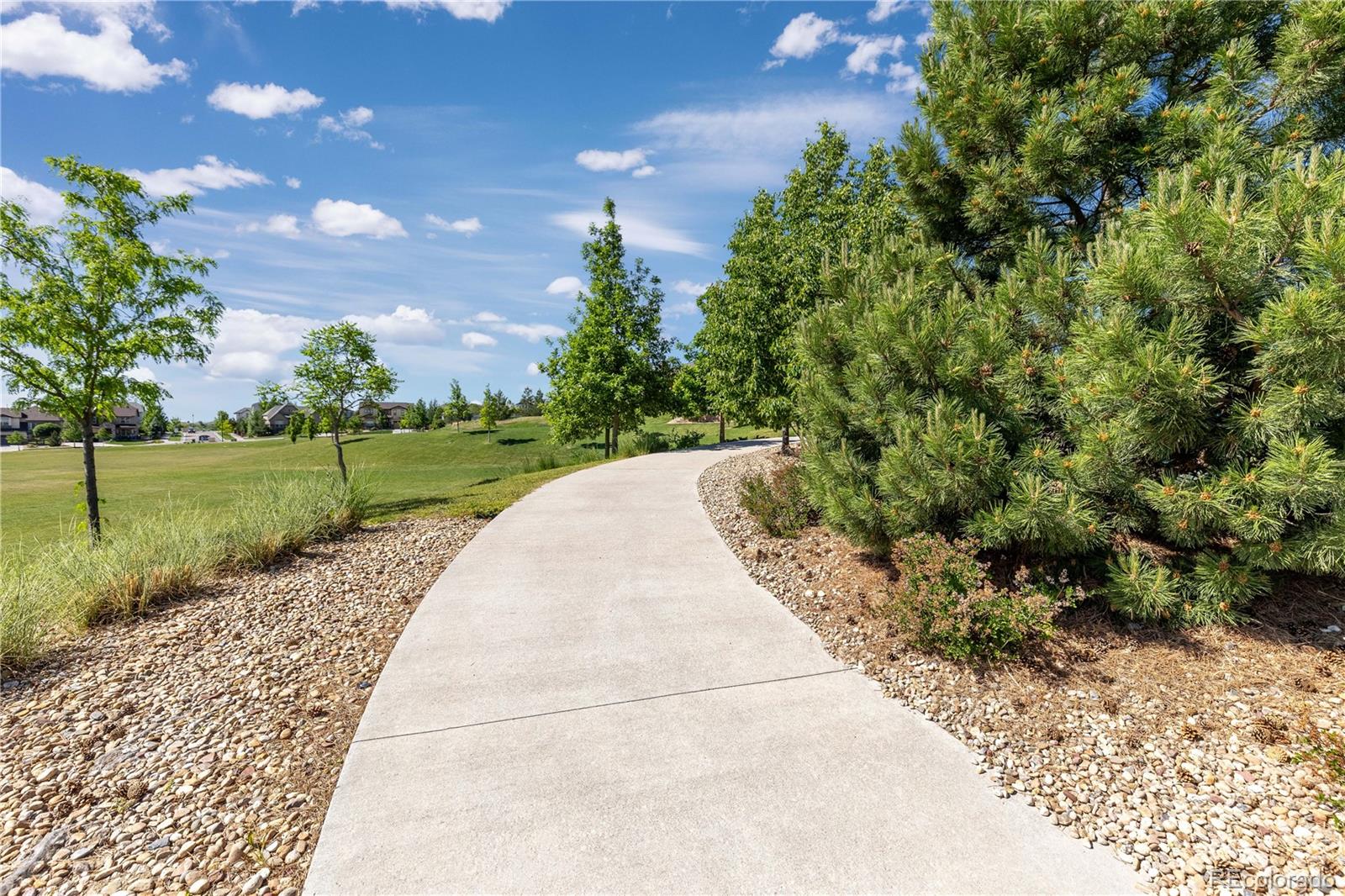 MLS Image #44 for 8464  violet court,arvada, Colorado