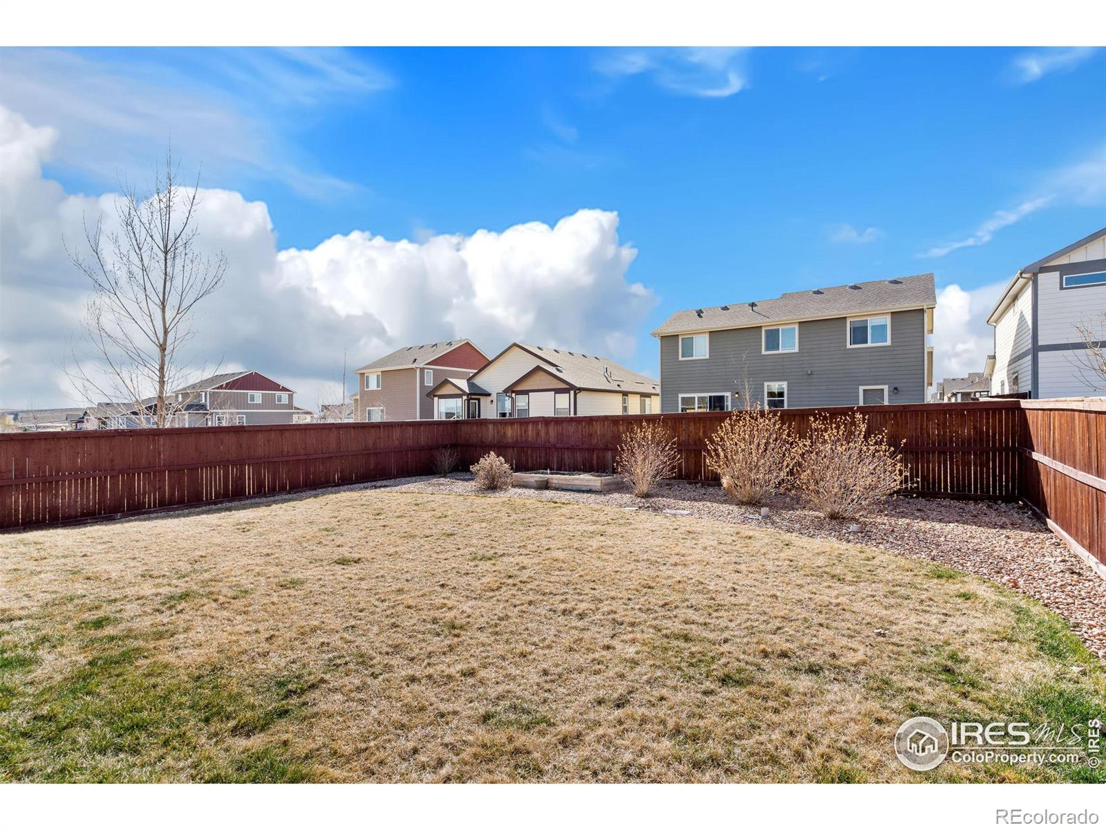 MLS Image #10 for 1478  first light drive,windsor, Colorado