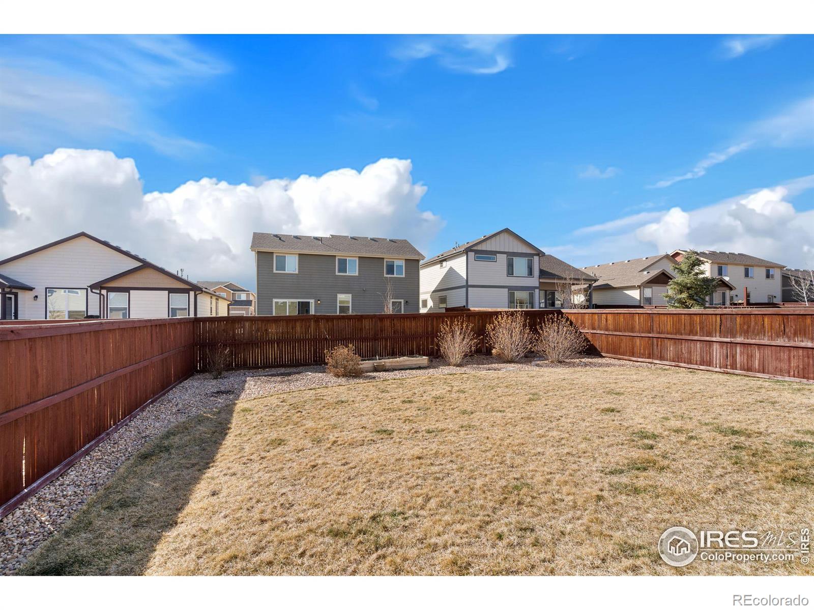 MLS Image #11 for 1478  first light drive,windsor, Colorado