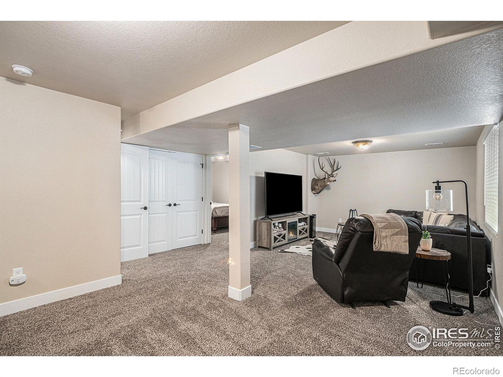 MLS Image #27 for 2071  blue moon court,windsor, Colorado