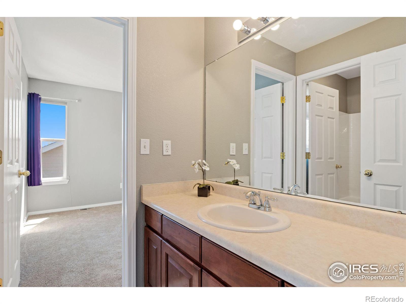 MLS Image #18 for 4425  twin peaks drive,loveland, Colorado