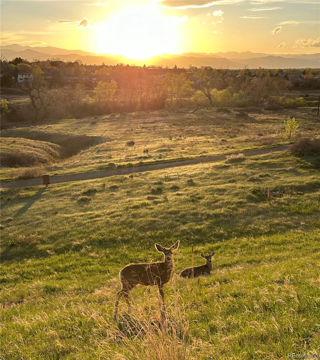 MLS Image #14 for 10475  dunsford drive,lone tree, Colorado