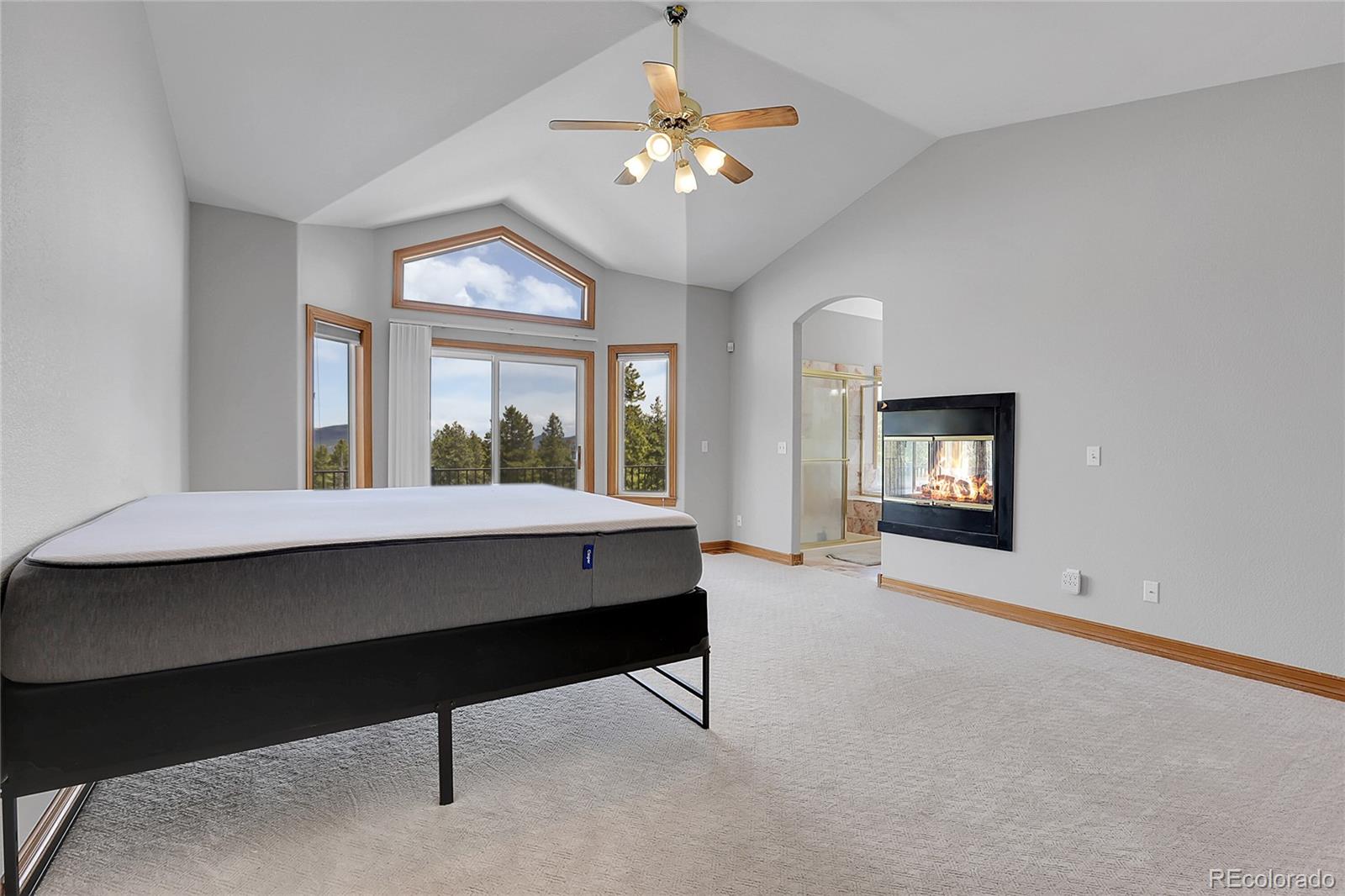 MLS Image #21 for 31682  shadow mountain drive,conifer, Colorado