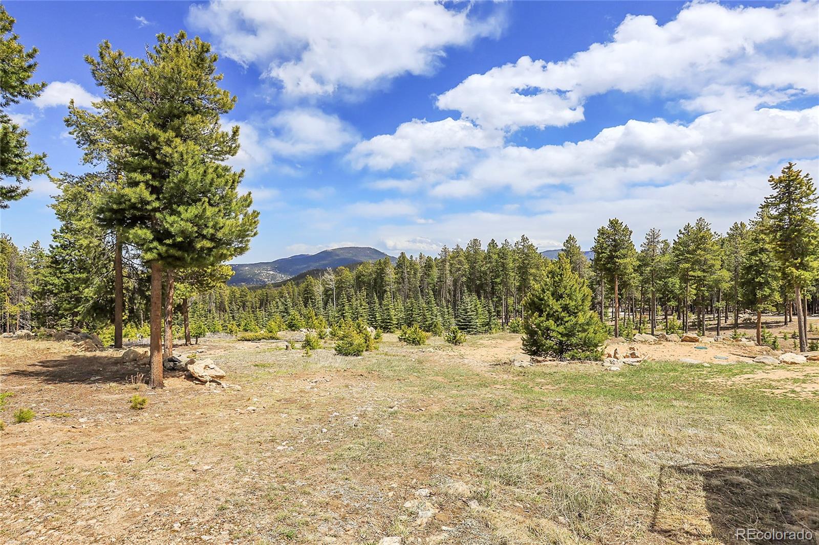 MLS Image #3 for 31682  shadow mountain drive,conifer, Colorado