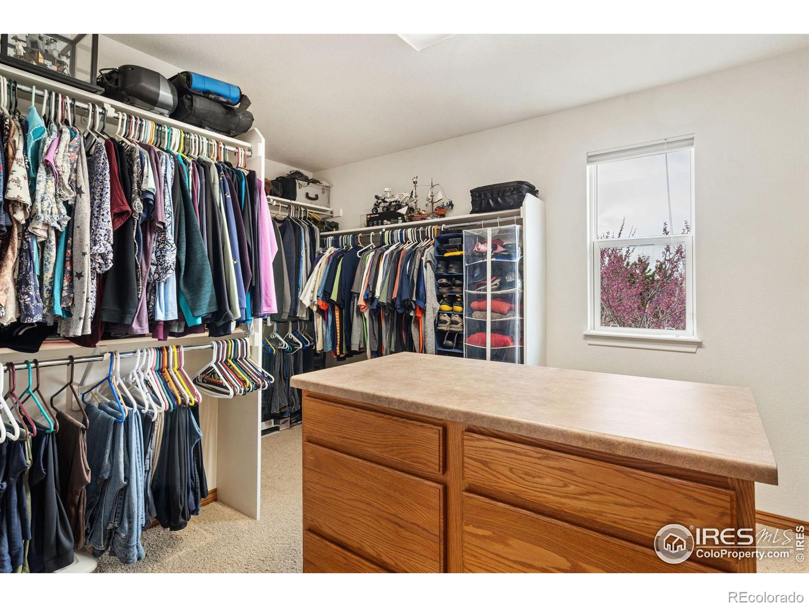 MLS Image #20 for 839  quintana lane,erie, Colorado