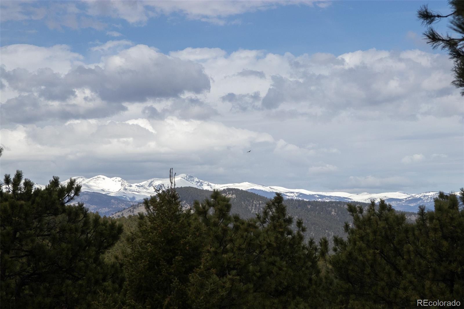 MLS Image #6 for 903  wagon trail road,evergreen, Colorado