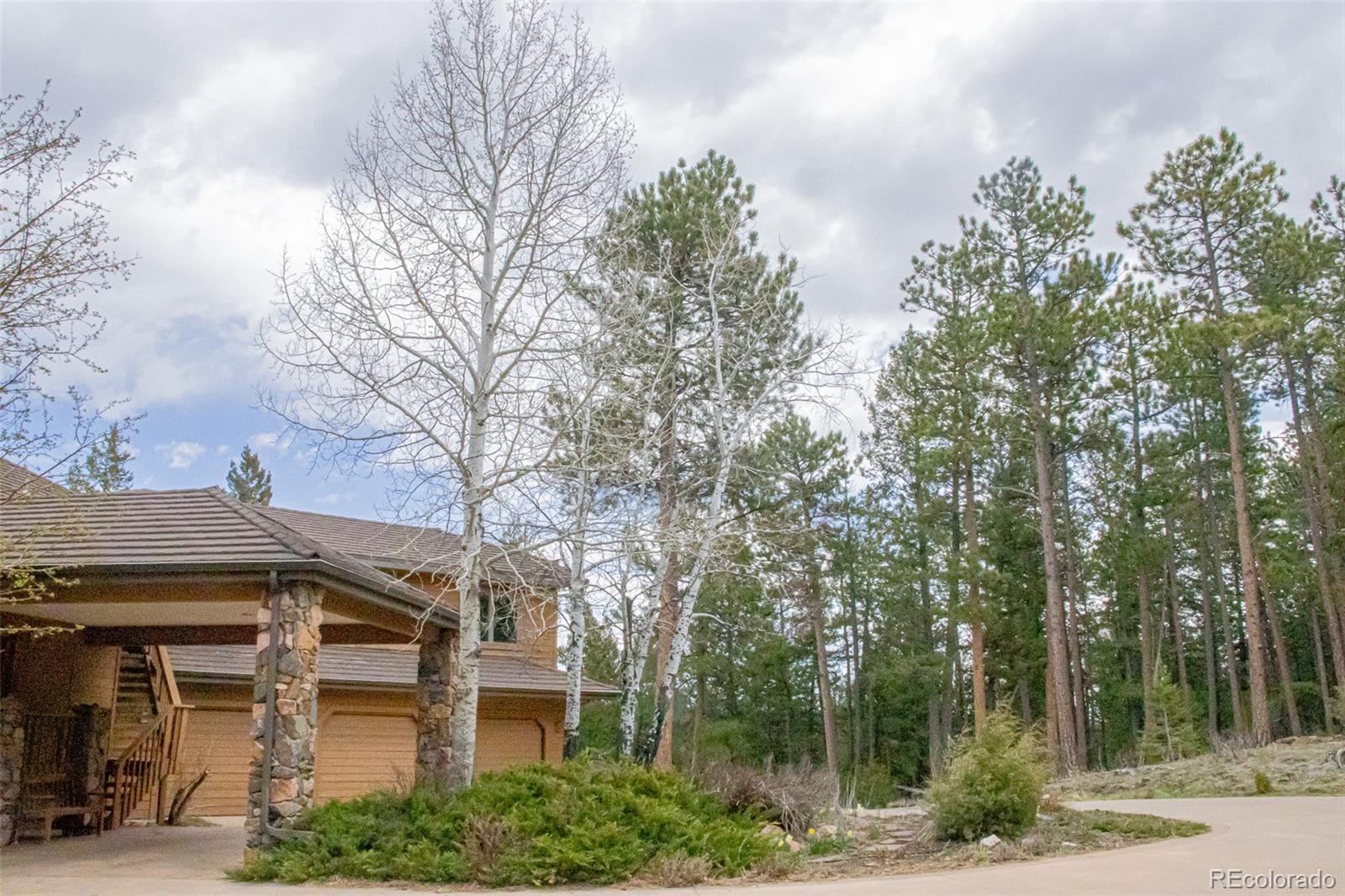 MLS Image #8 for 903  wagon trail road,evergreen, Colorado