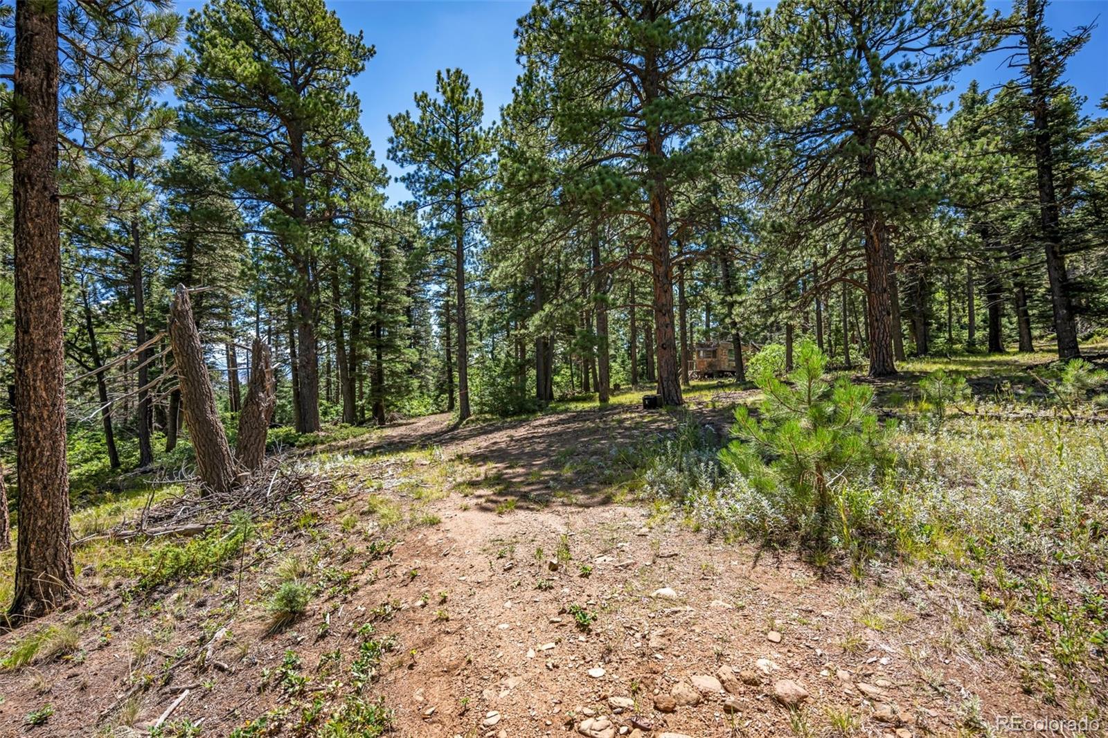 CMA Image for 1313  county road 150 ,Westcliffe, Colorado