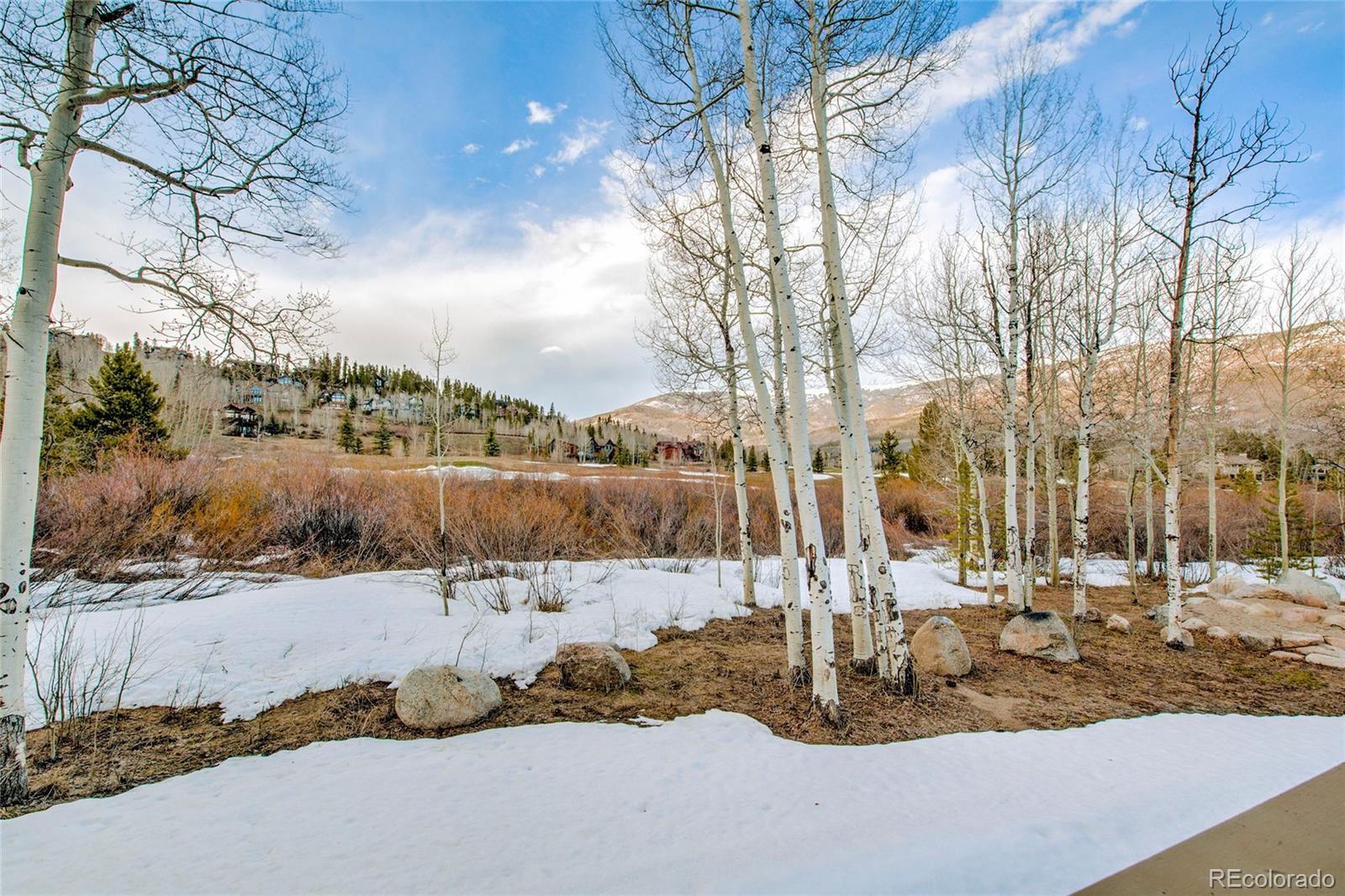 MLS Image #46 for 734  wild rose road,silverthorne, Colorado
