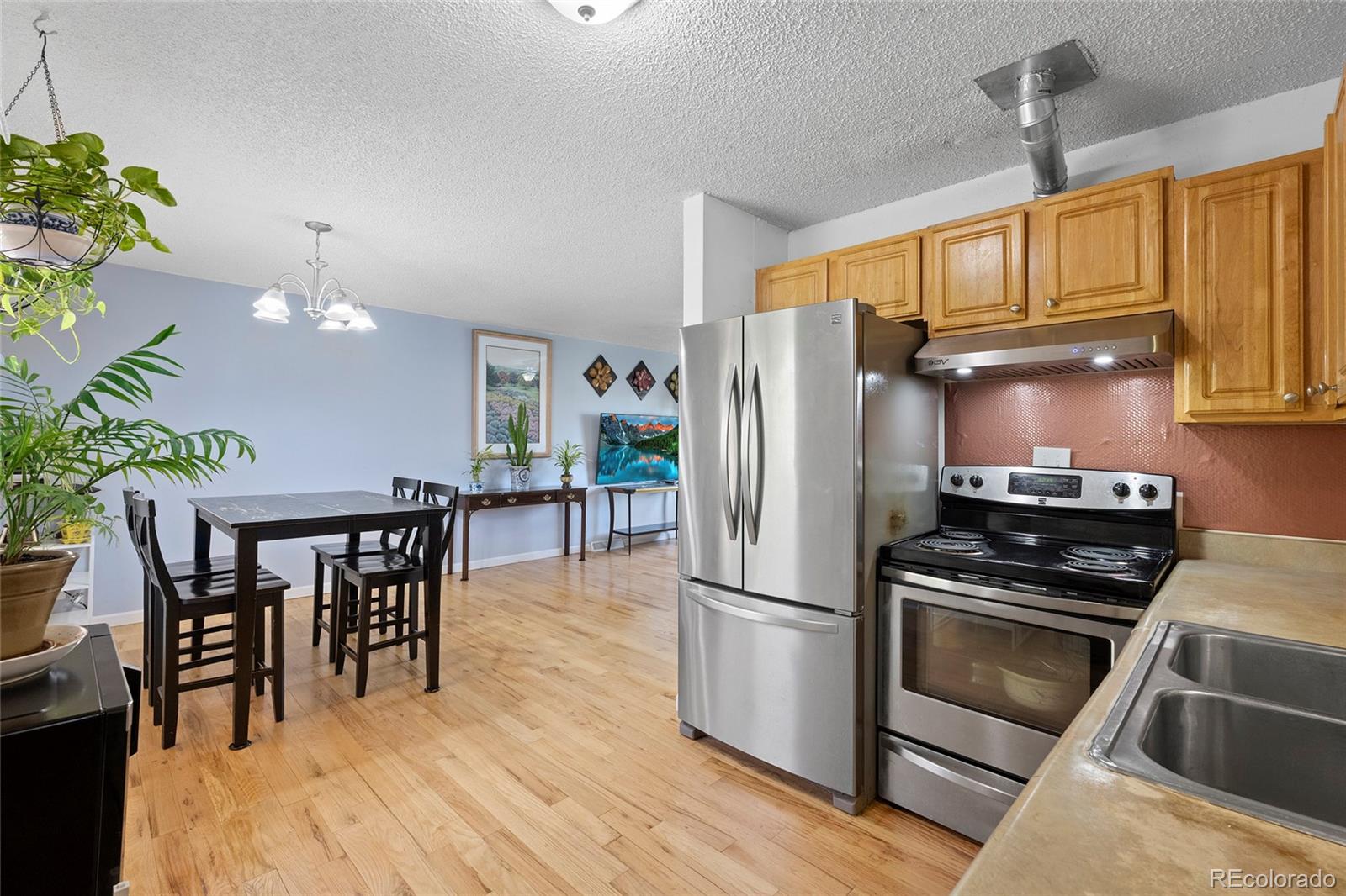 MLS Image #9 for 1380  city view drive,denver, Colorado