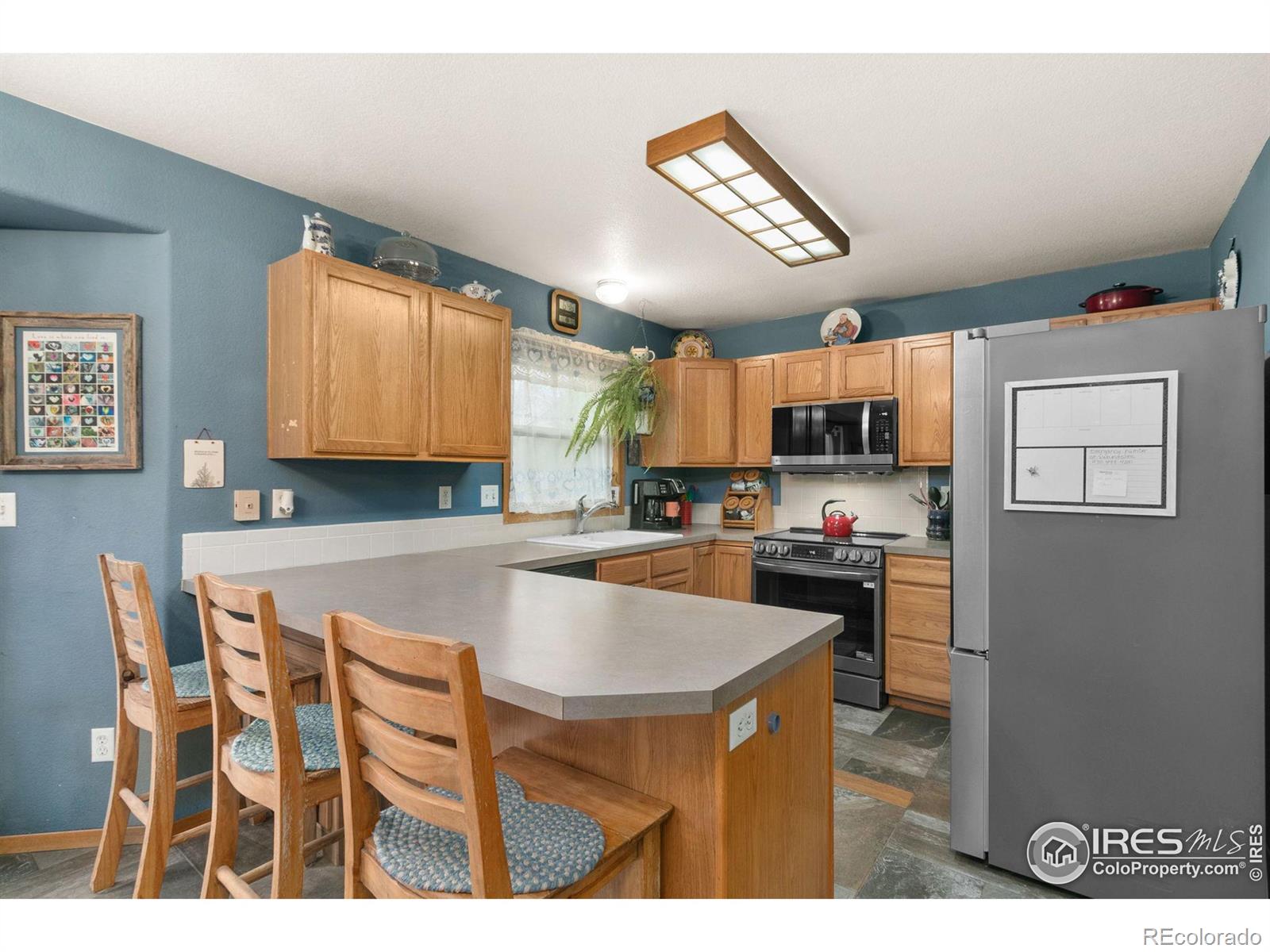 MLS Image #11 for 481  natasha court,loveland, Colorado