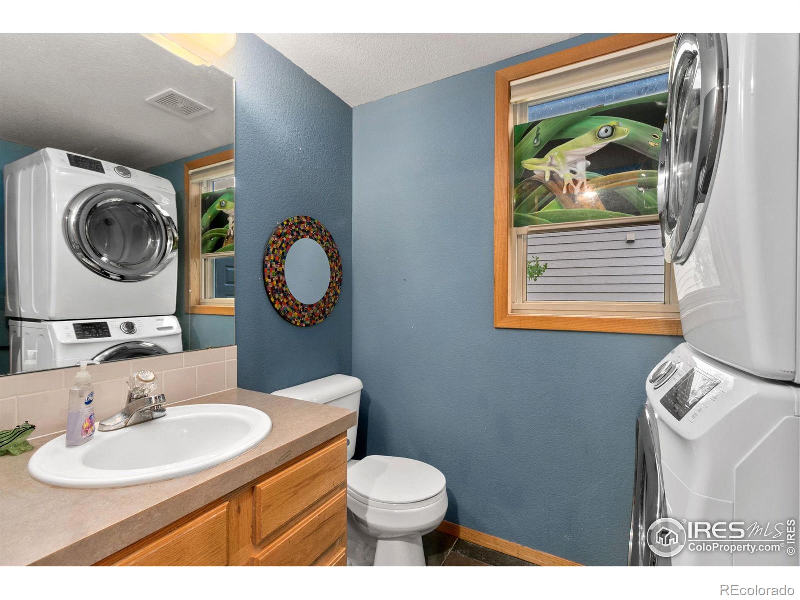 MLS Image #13 for 481  natasha court,loveland, Colorado