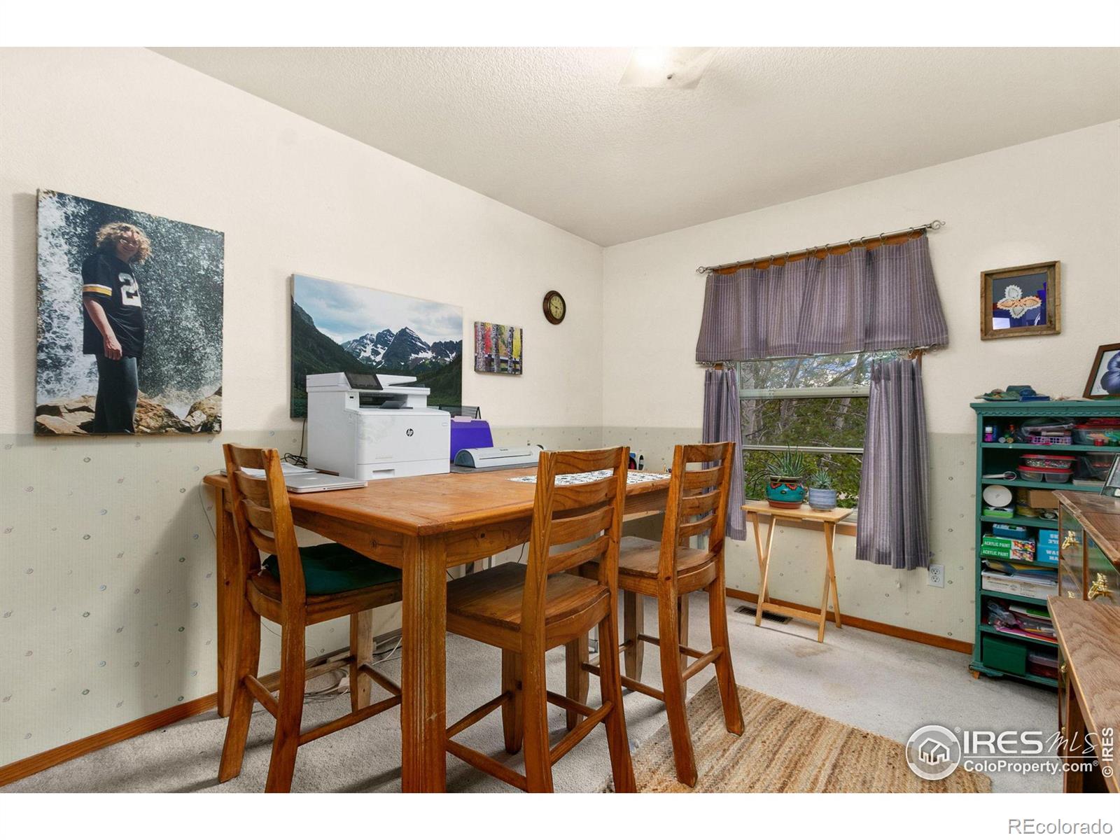 MLS Image #16 for 481  natasha court,loveland, Colorado