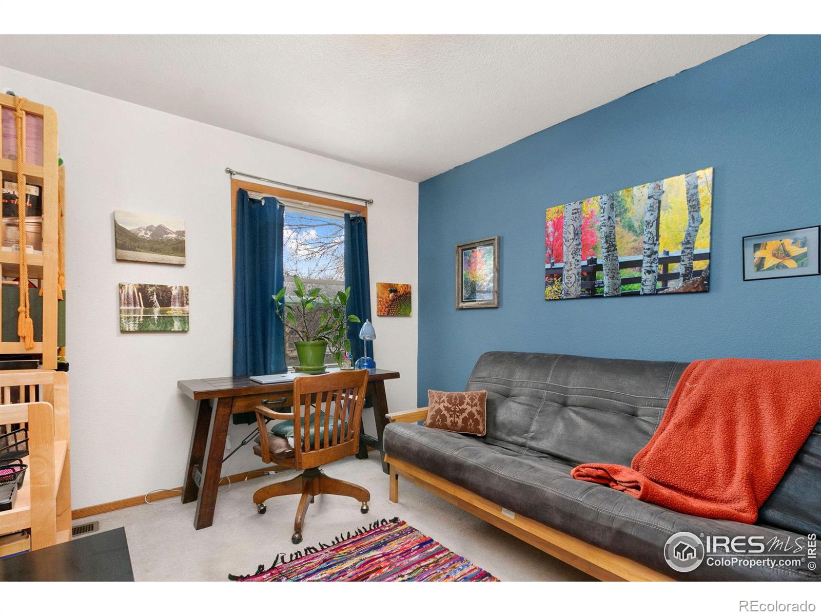 MLS Image #17 for 481  natasha court,loveland, Colorado