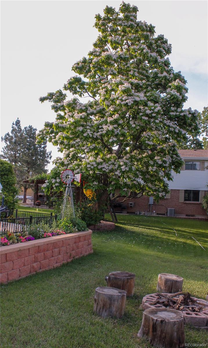 MLS Image #48 for 10470 w virginia avenue,lakewood, Colorado