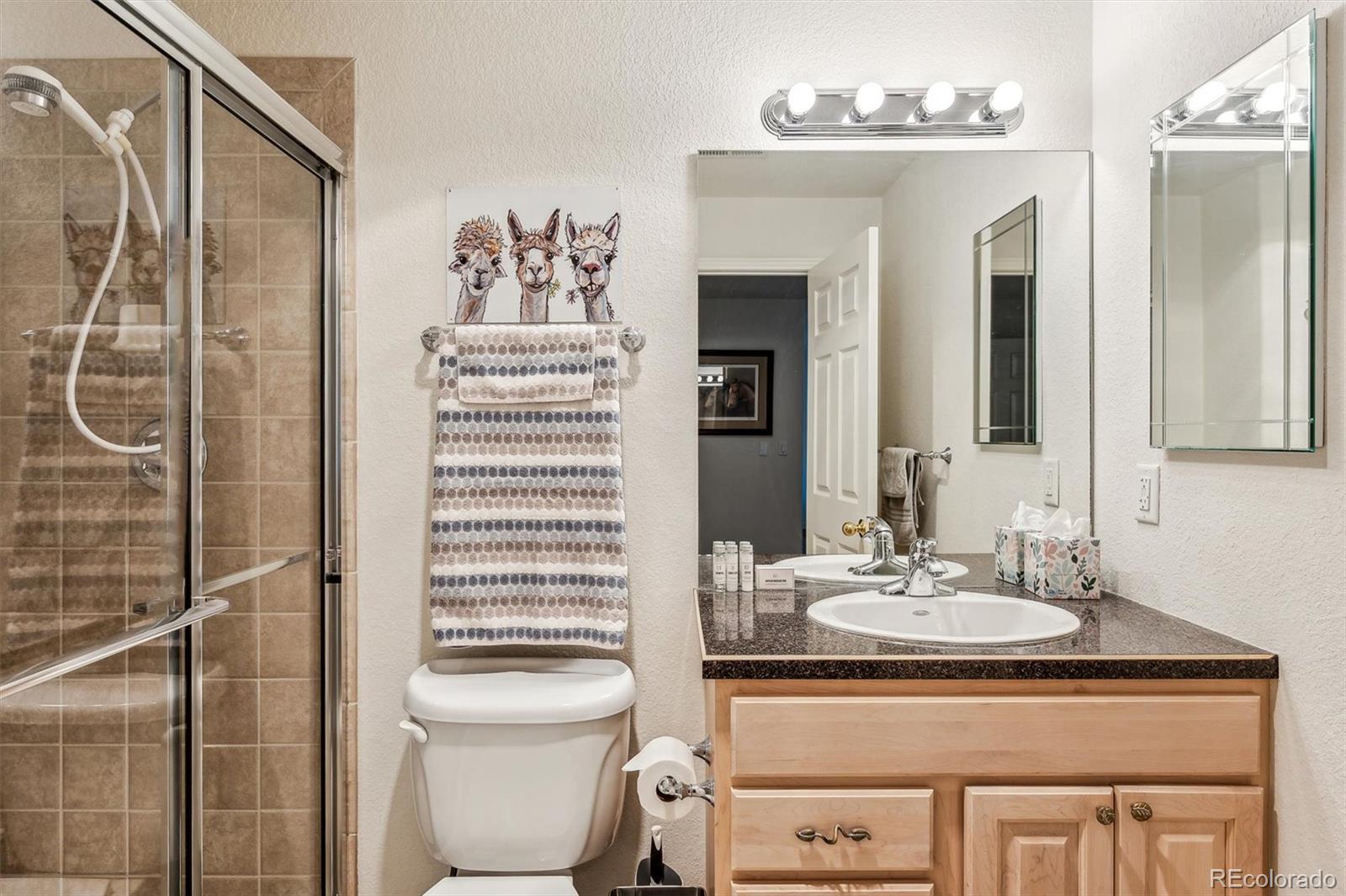 MLS Image #38 for 4141  da vinci drive,longmont, Colorado