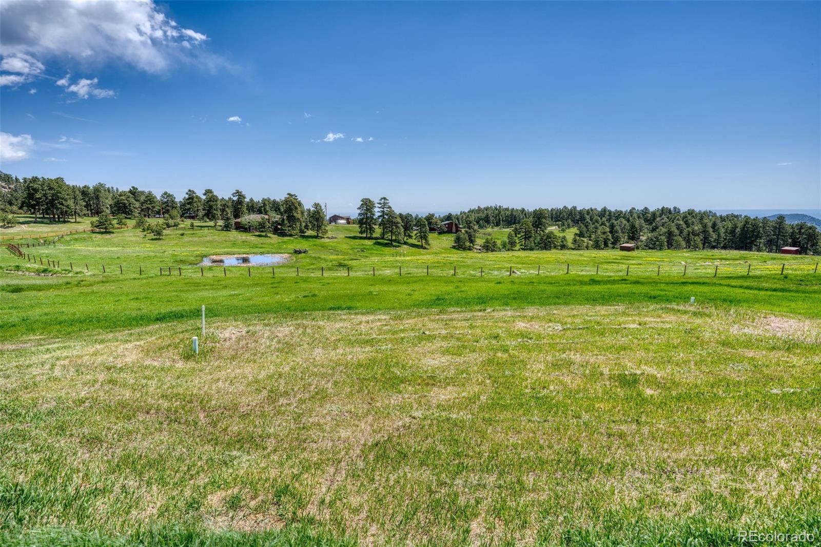 MLS Image #18 for 5236  bear mountain drive,evergreen, Colorado