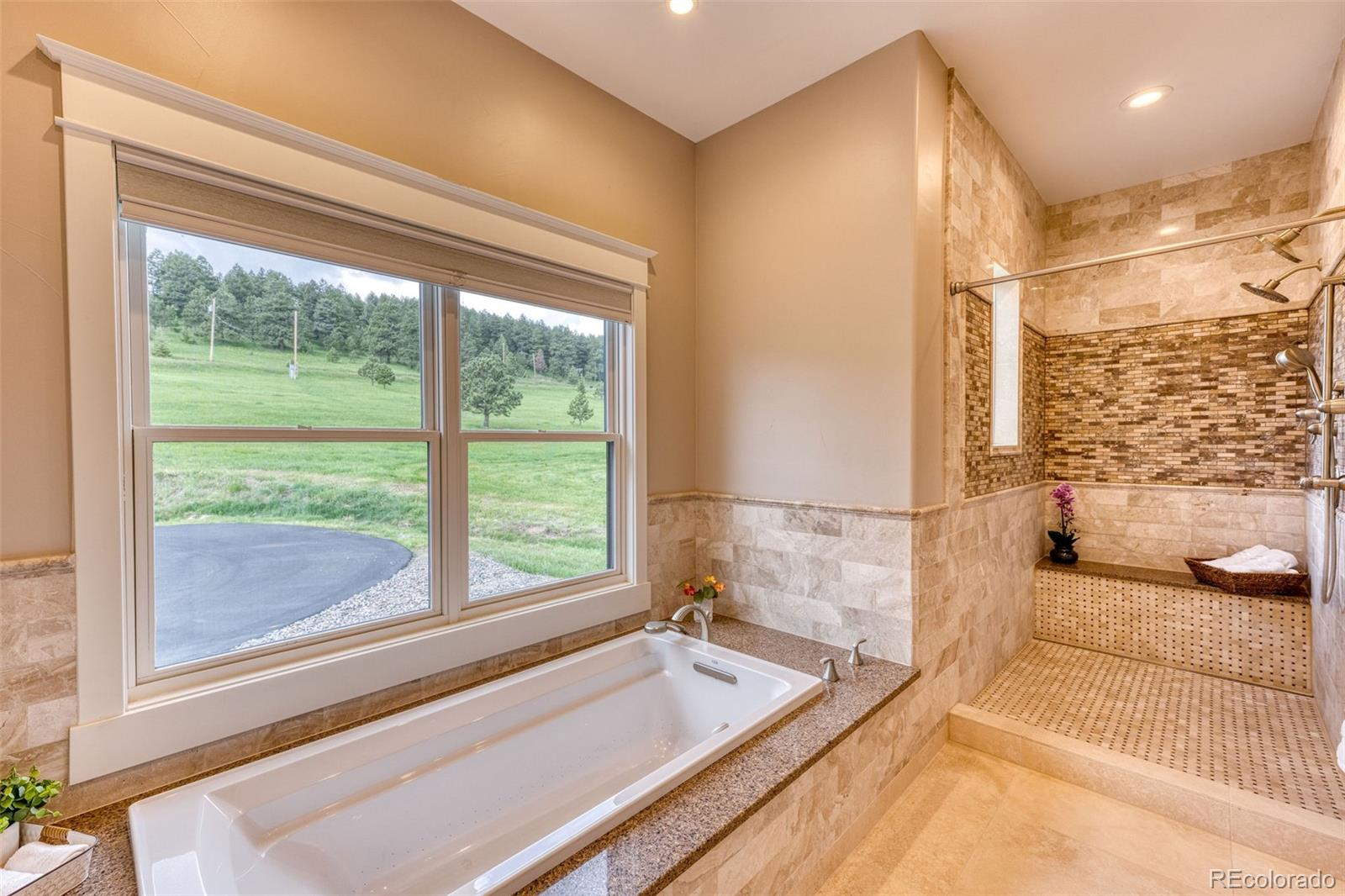 MLS Image #5 for 5236  bear mountain drive,evergreen, Colorado