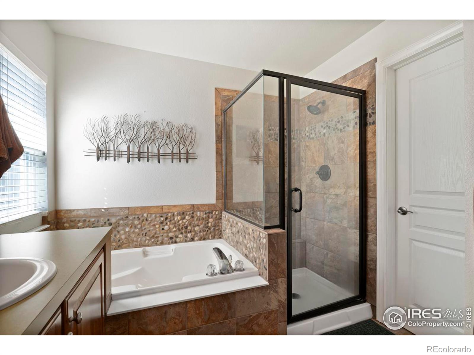 MLS Image #17 for 2981  spring harvest lane,fort collins, Colorado