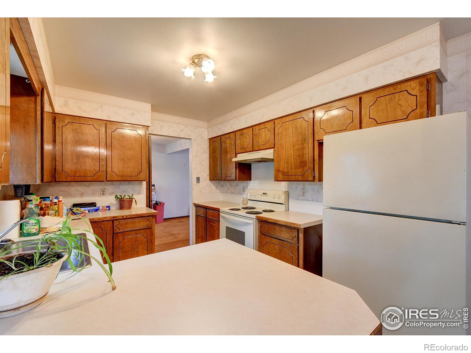 MLS Image #9 for 2551  tupelo drive,loveland, Colorado