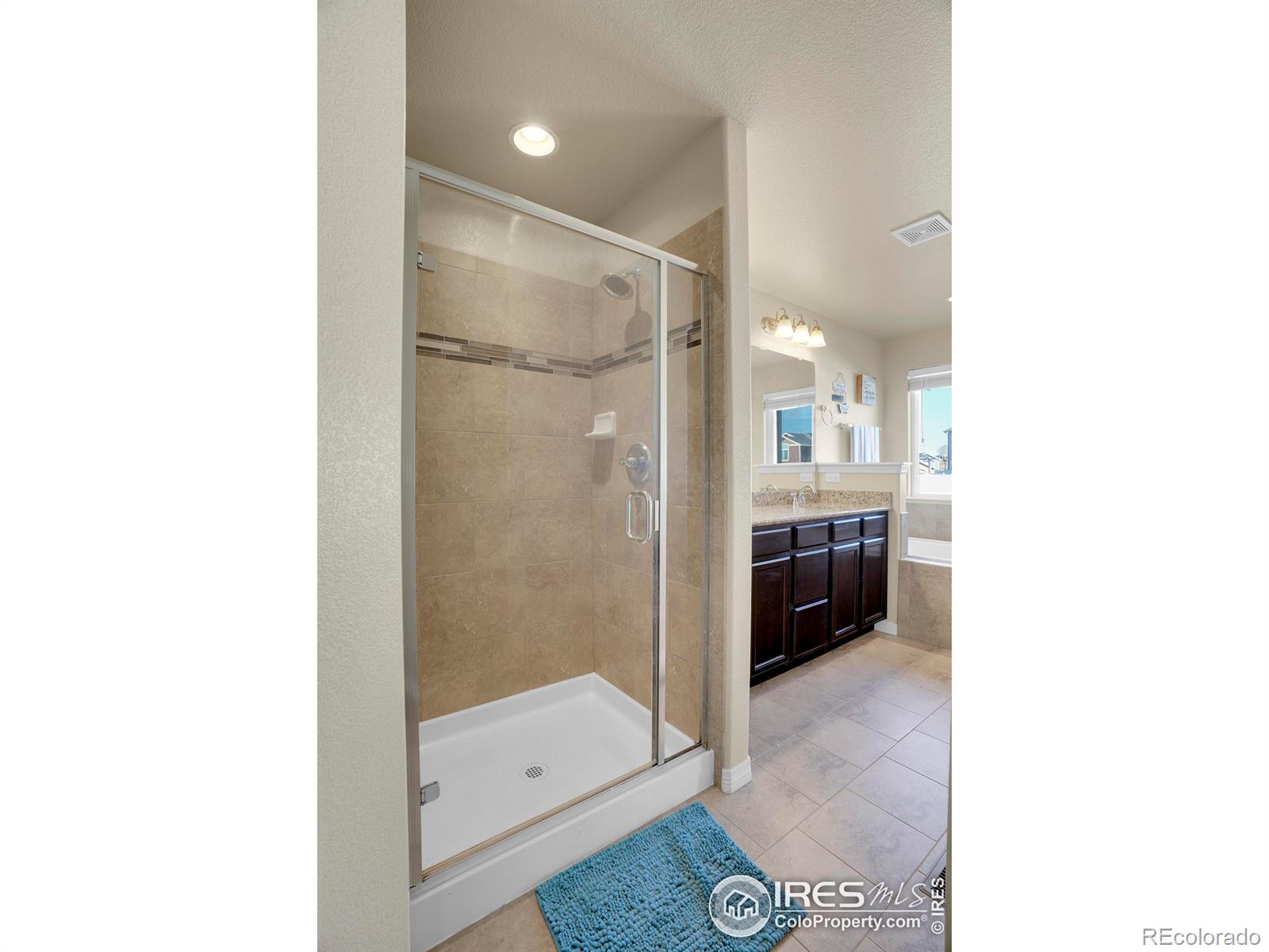 MLS Image #17 for 496  gannet peak drive,windsor, Colorado