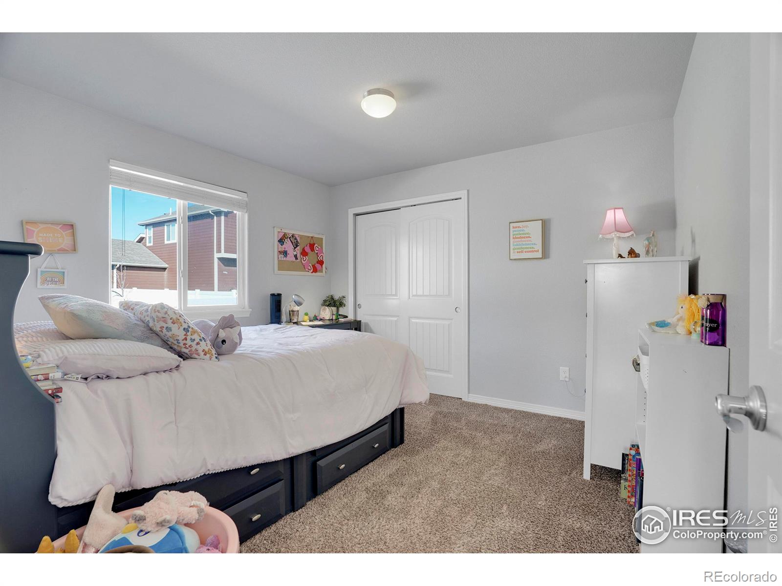 MLS Image #18 for 496  gannet peak drive,windsor, Colorado