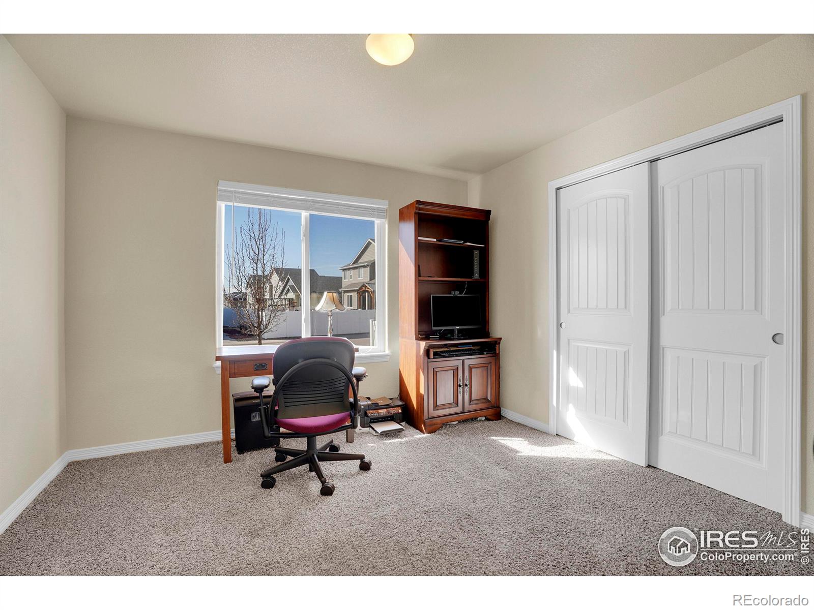 MLS Image #22 for 496  gannet peak drive,windsor, Colorado