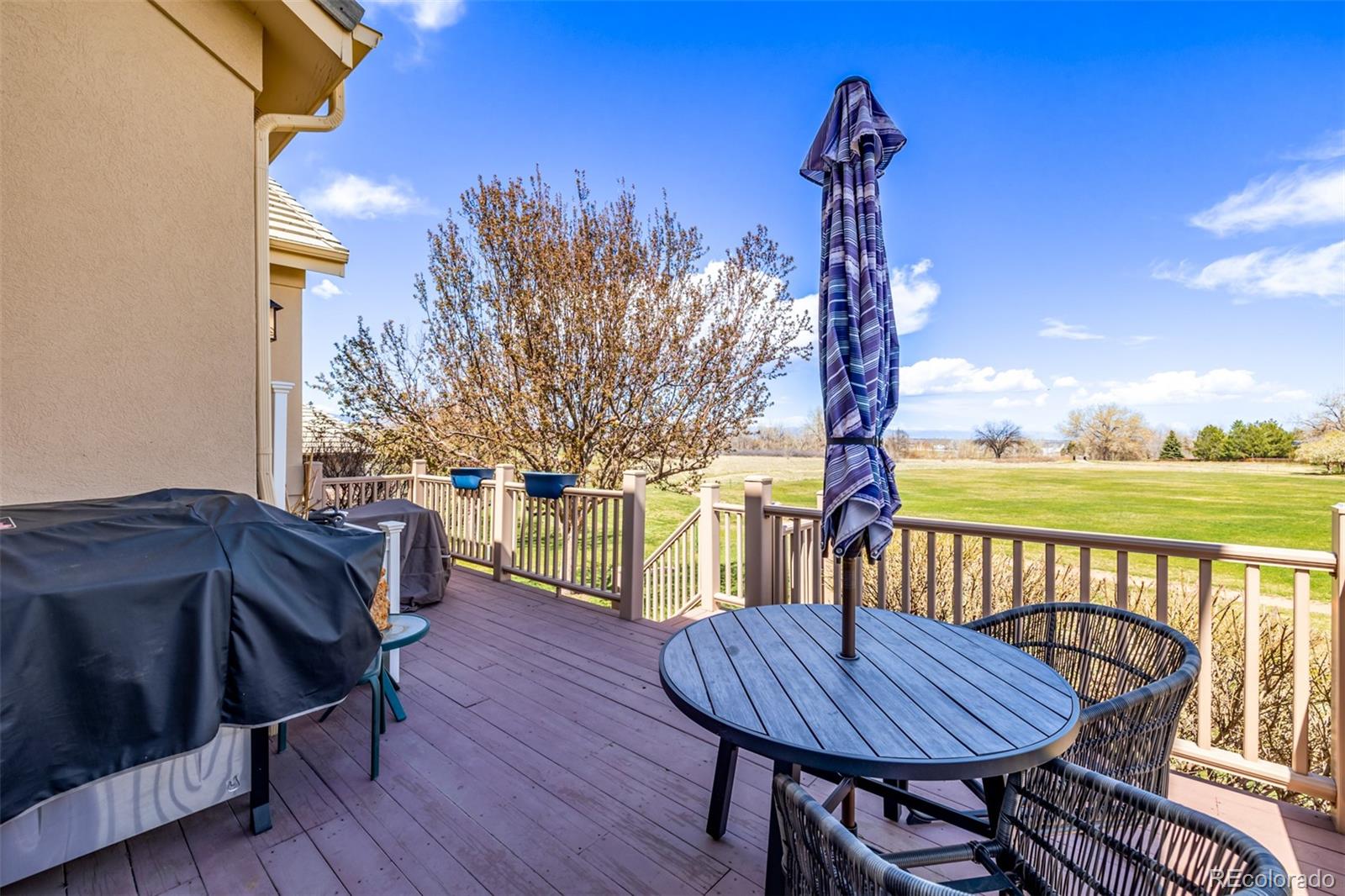 MLS Image #44 for 10786  bryant court,westminster, Colorado