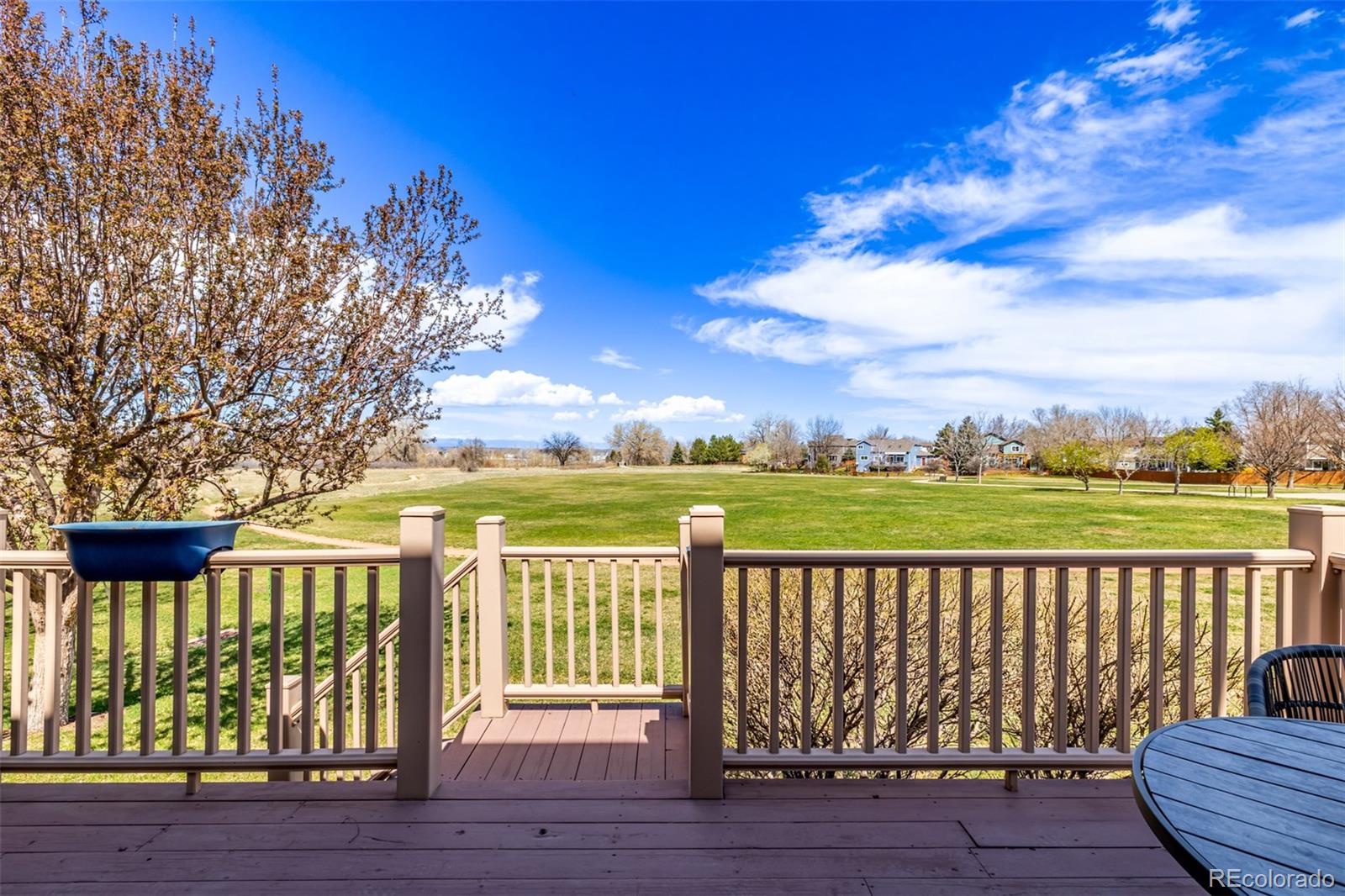 MLS Image #45 for 10786  bryant court,westminster, Colorado