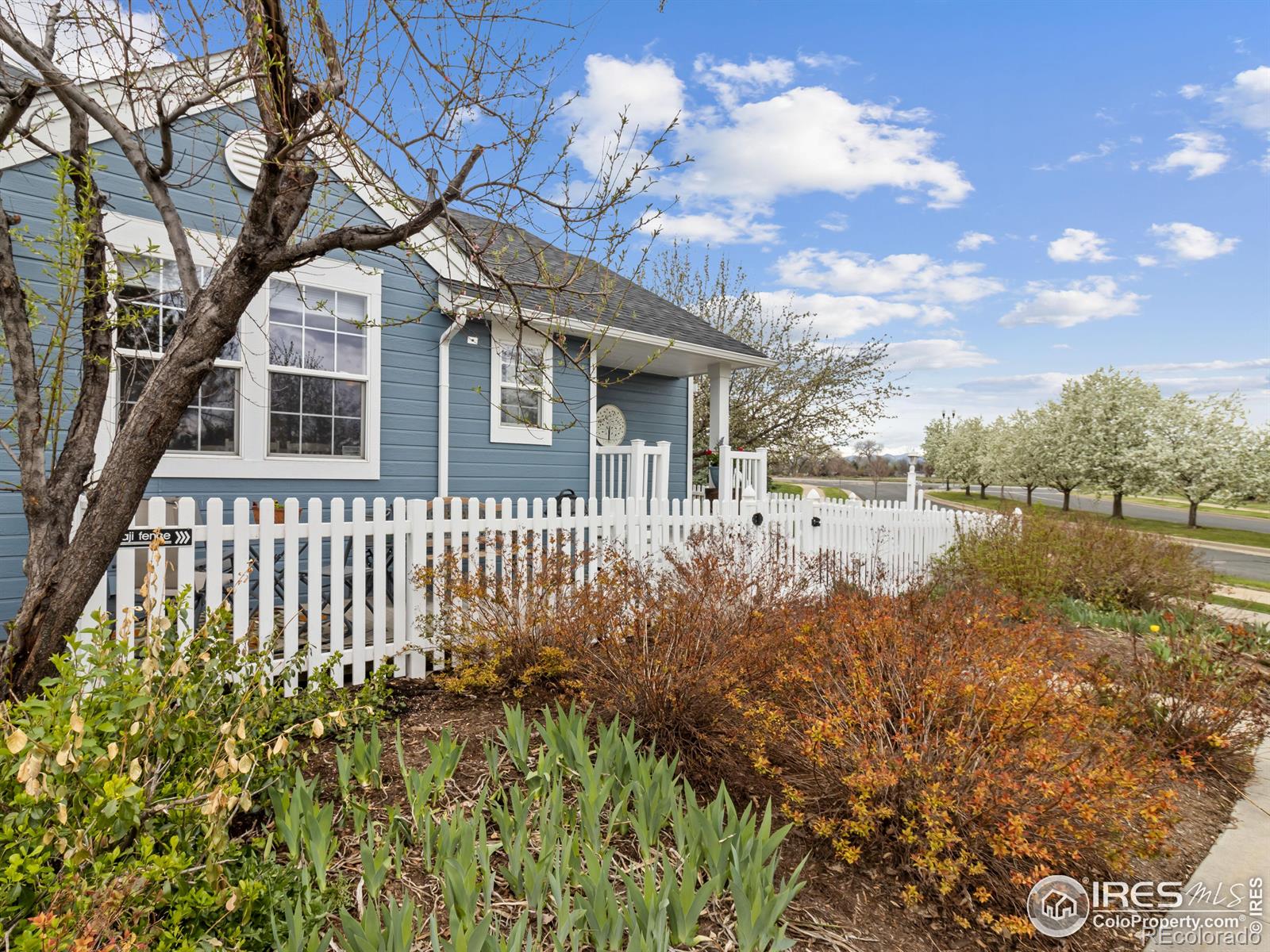 MLS Image #5 for 2400  concord circle,lafayette, Colorado