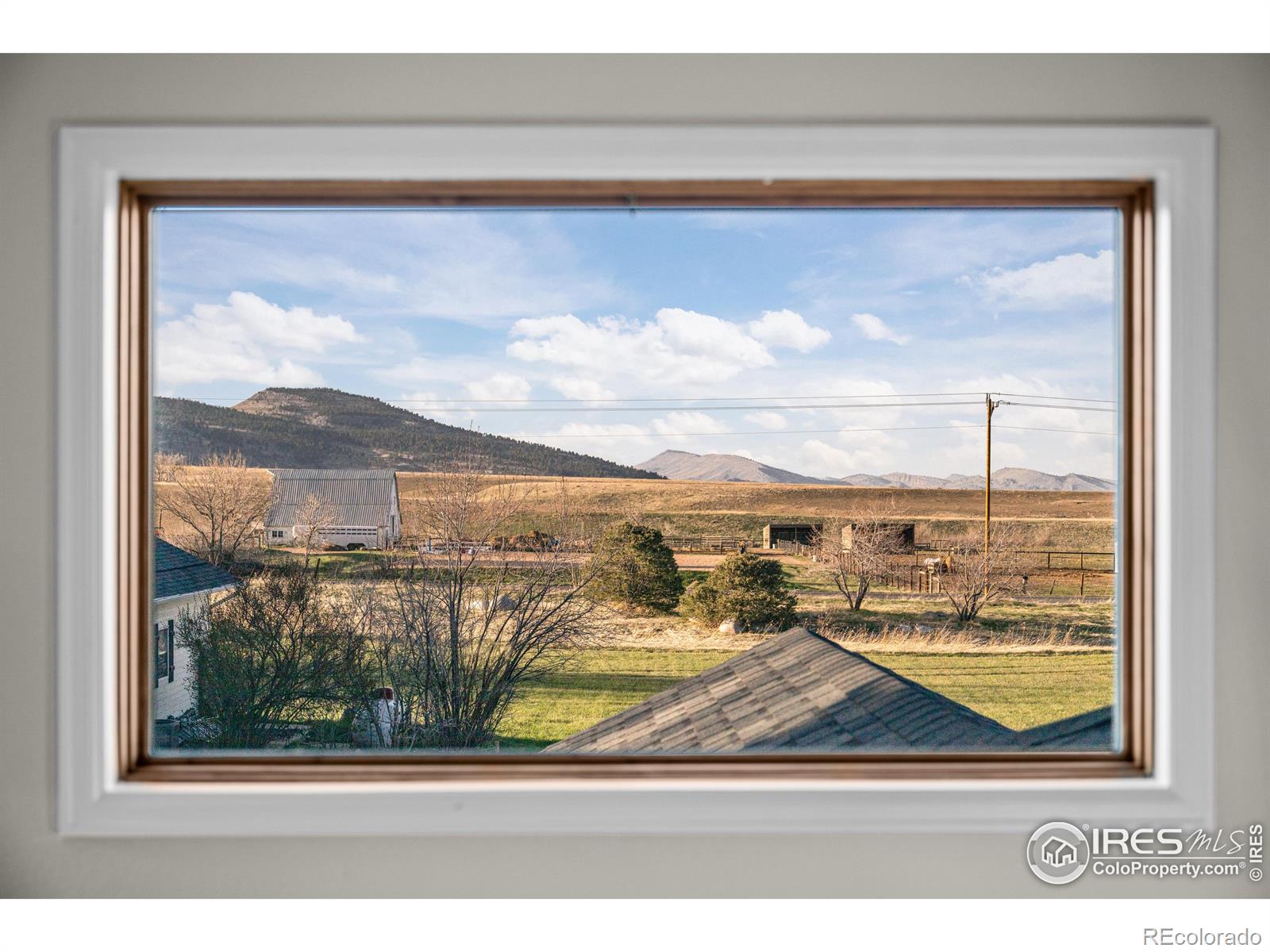 MLS Image #19 for 9362  tollgate drive,longmont, Colorado