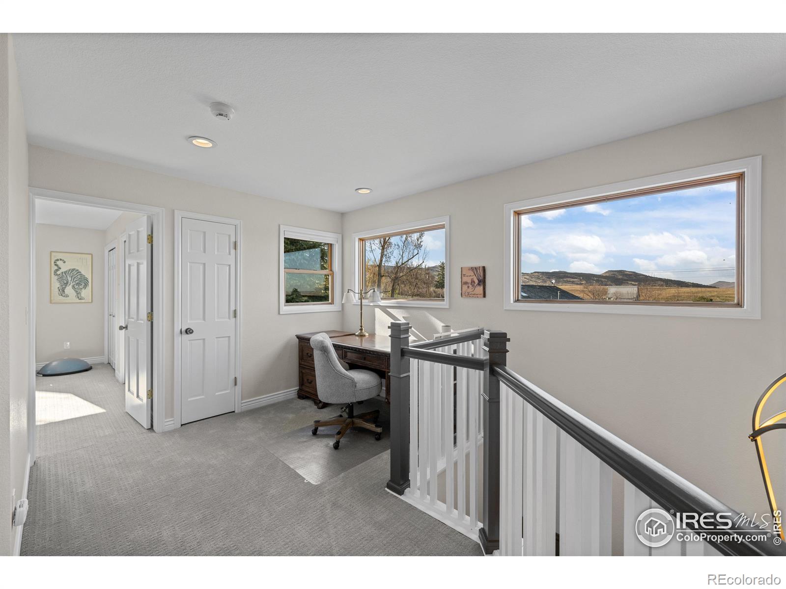 MLS Image #20 for 9362  tollgate drive,longmont, Colorado