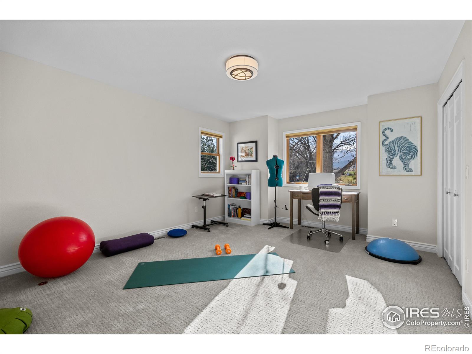 MLS Image #21 for 9362  tollgate drive,longmont, Colorado