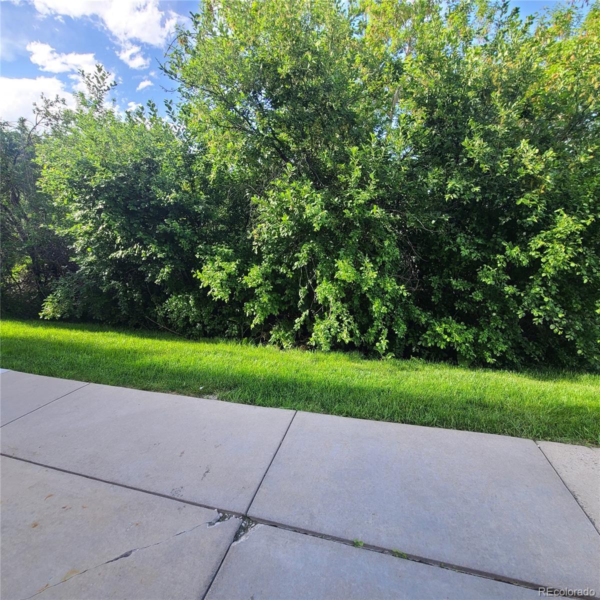 MLS Image #11 for 5995 w hampden avenue,denver, Colorado