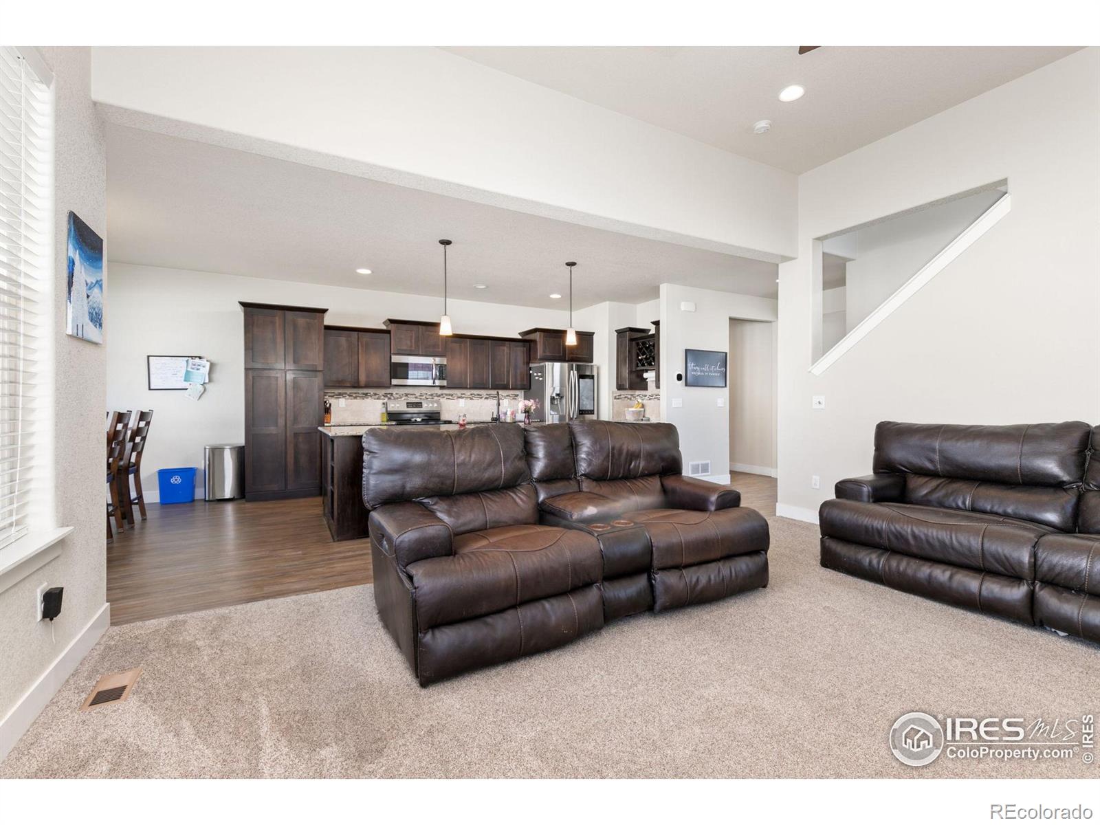 MLS Image #11 for 578  ellingwood pointe drive,severance, Colorado