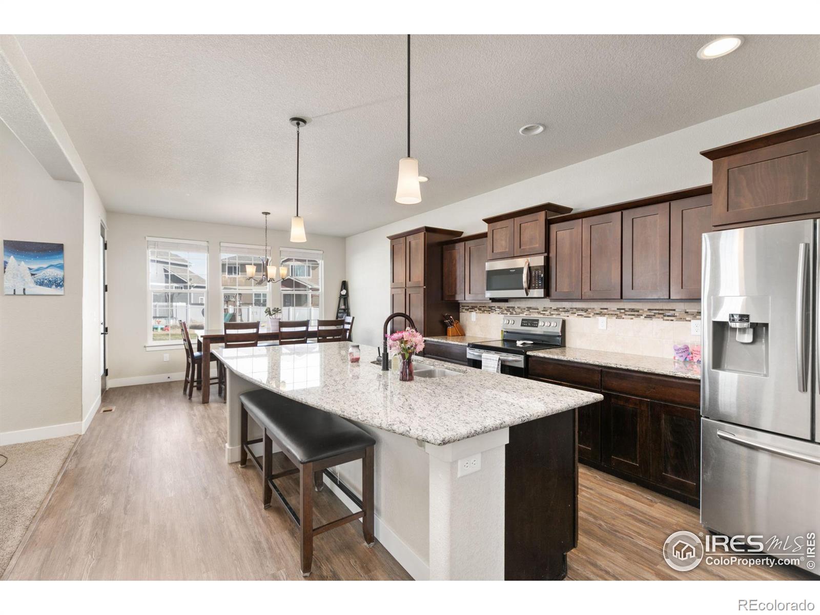 MLS Image #7 for 578  ellingwood pointe drive,severance, Colorado