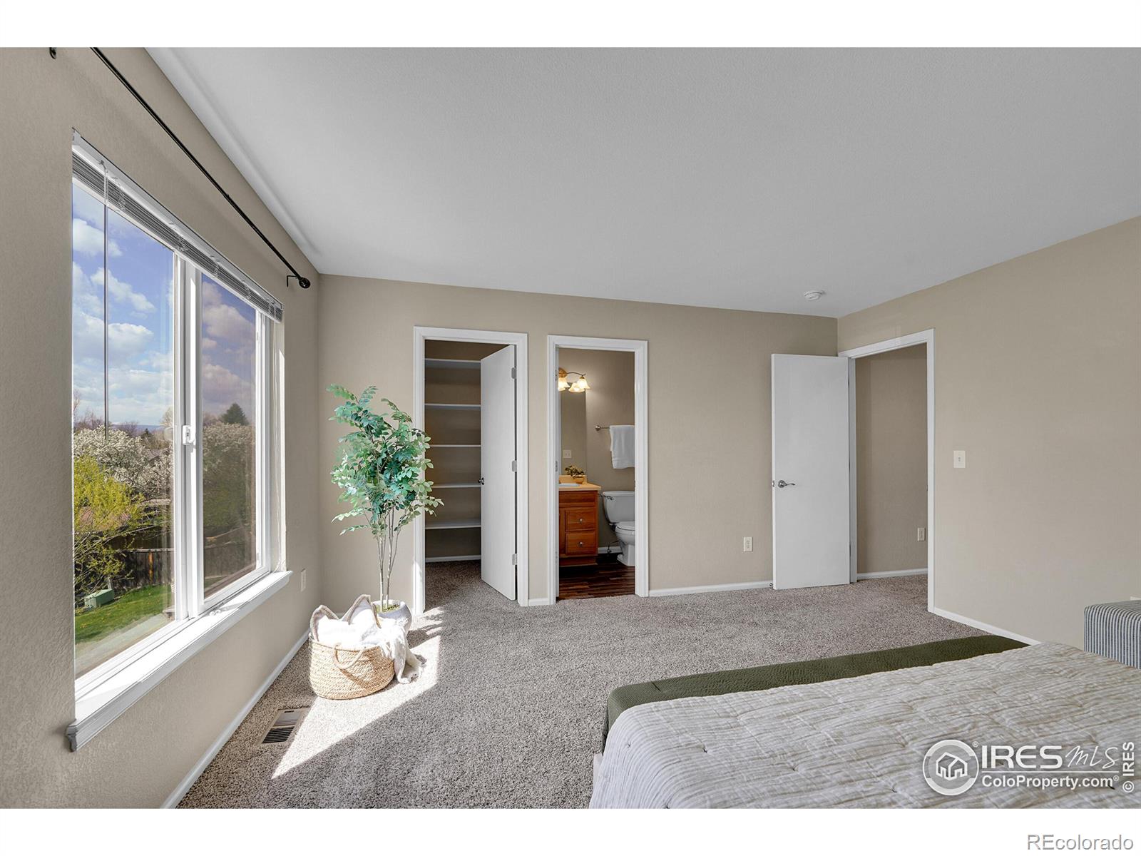 MLS Image #16 for 1626  box prairie circle,loveland, Colorado