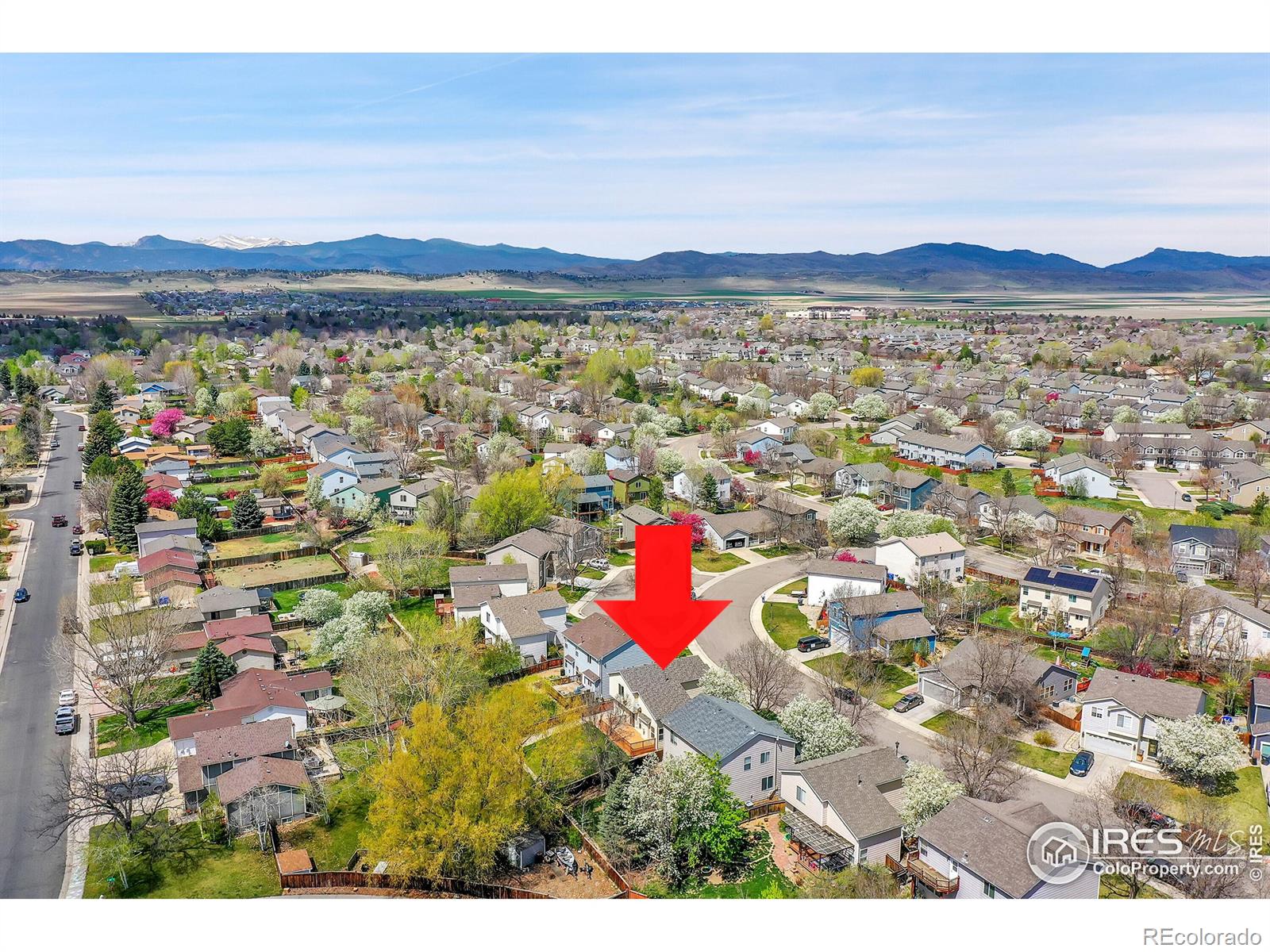 MLS Image #35 for 1626  box prairie circle,loveland, Colorado