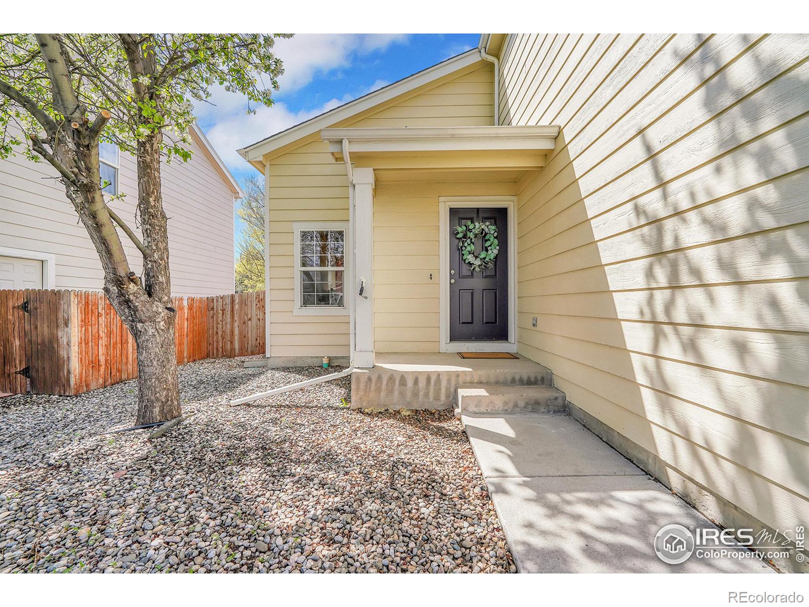 MLS Image #4 for 1626  box prairie circle,loveland, Colorado