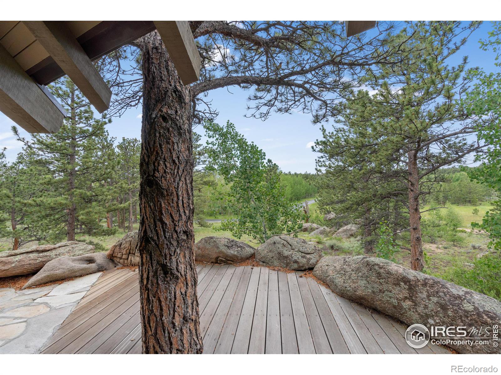 MLS Image #4 for 1576  county road 67j ,red feather lakes, Colorado