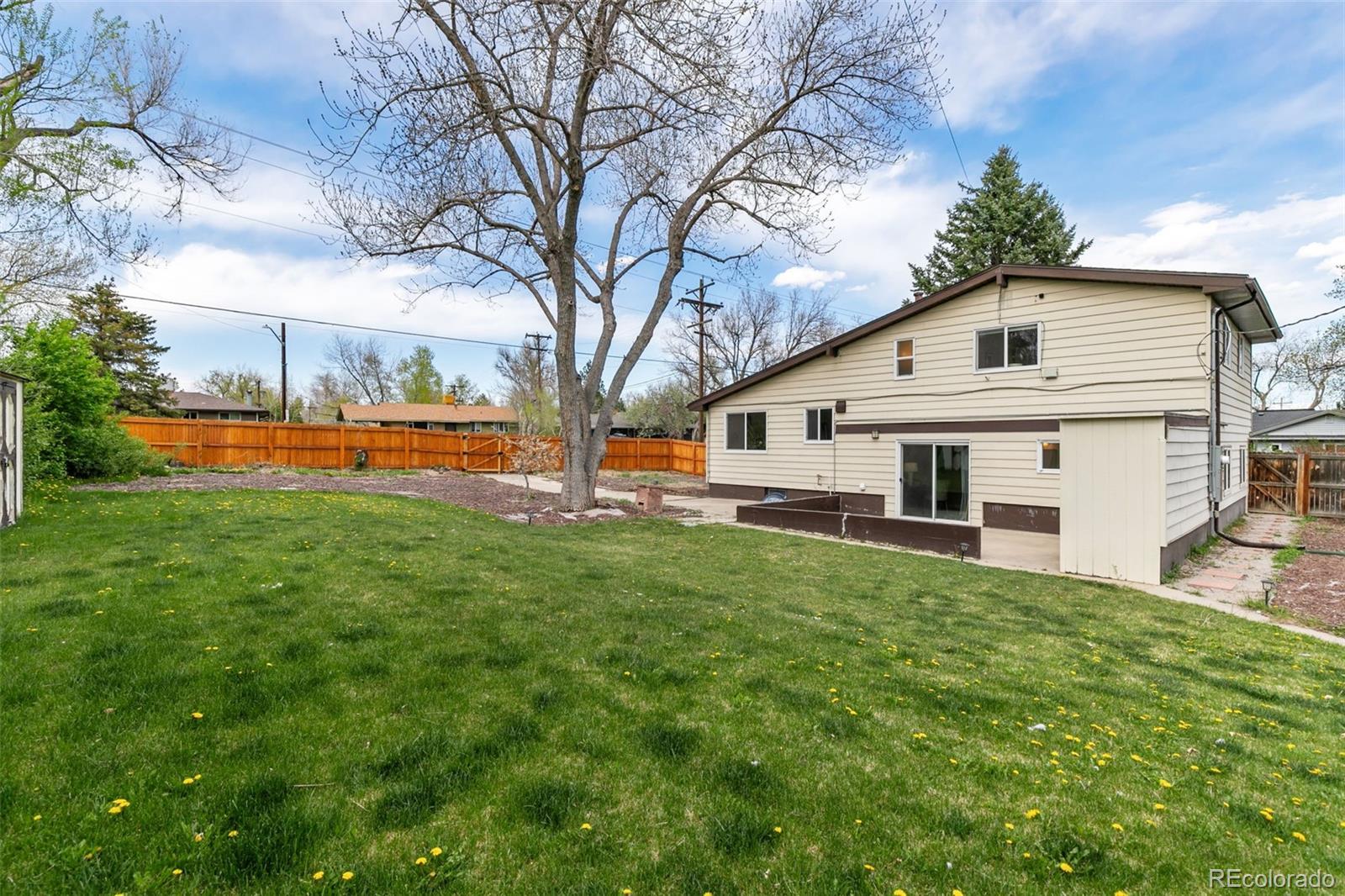 MLS Image #20 for 6373  teller street,arvada, Colorado