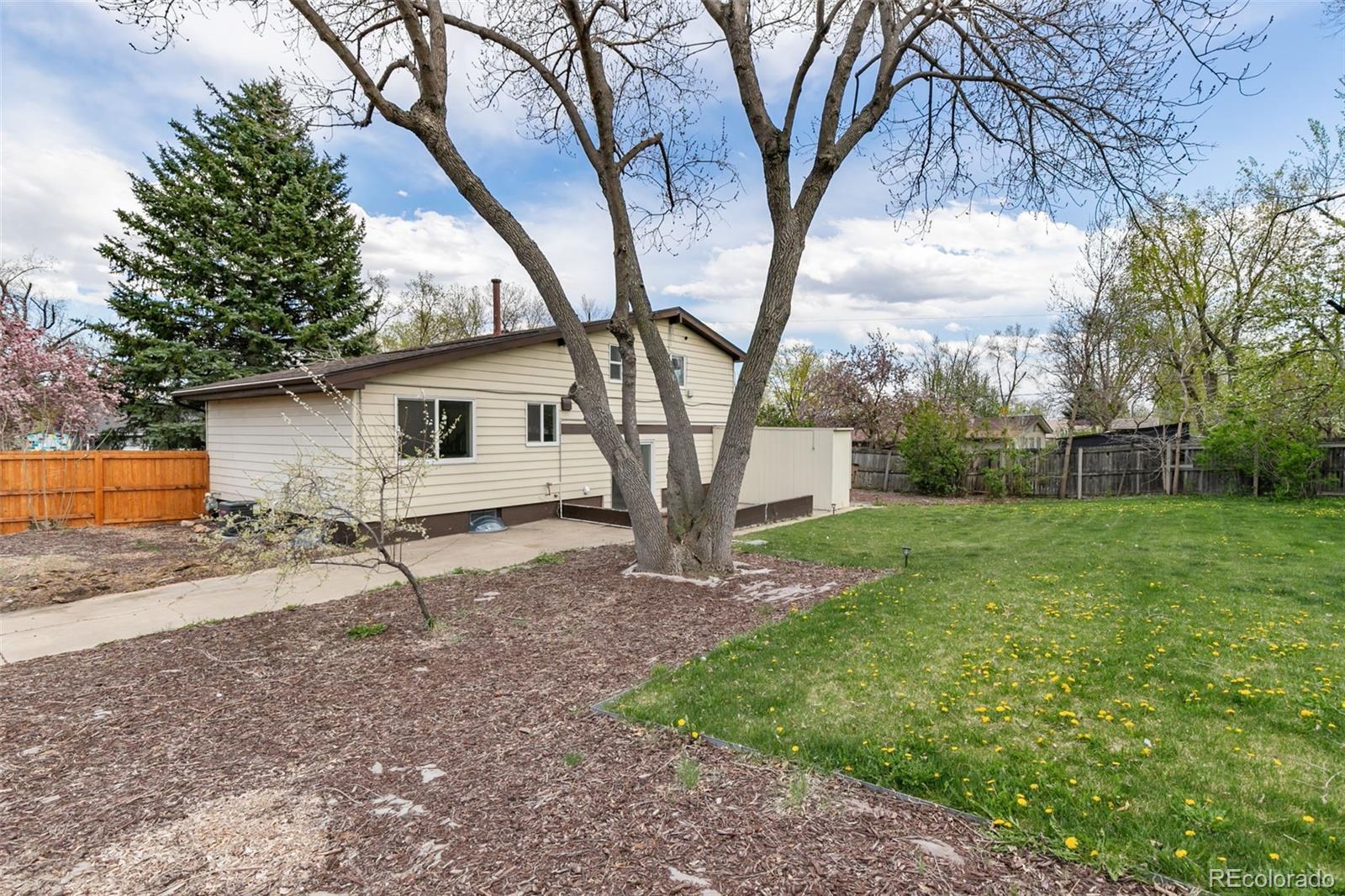 MLS Image #24 for 6373  teller street,arvada, Colorado