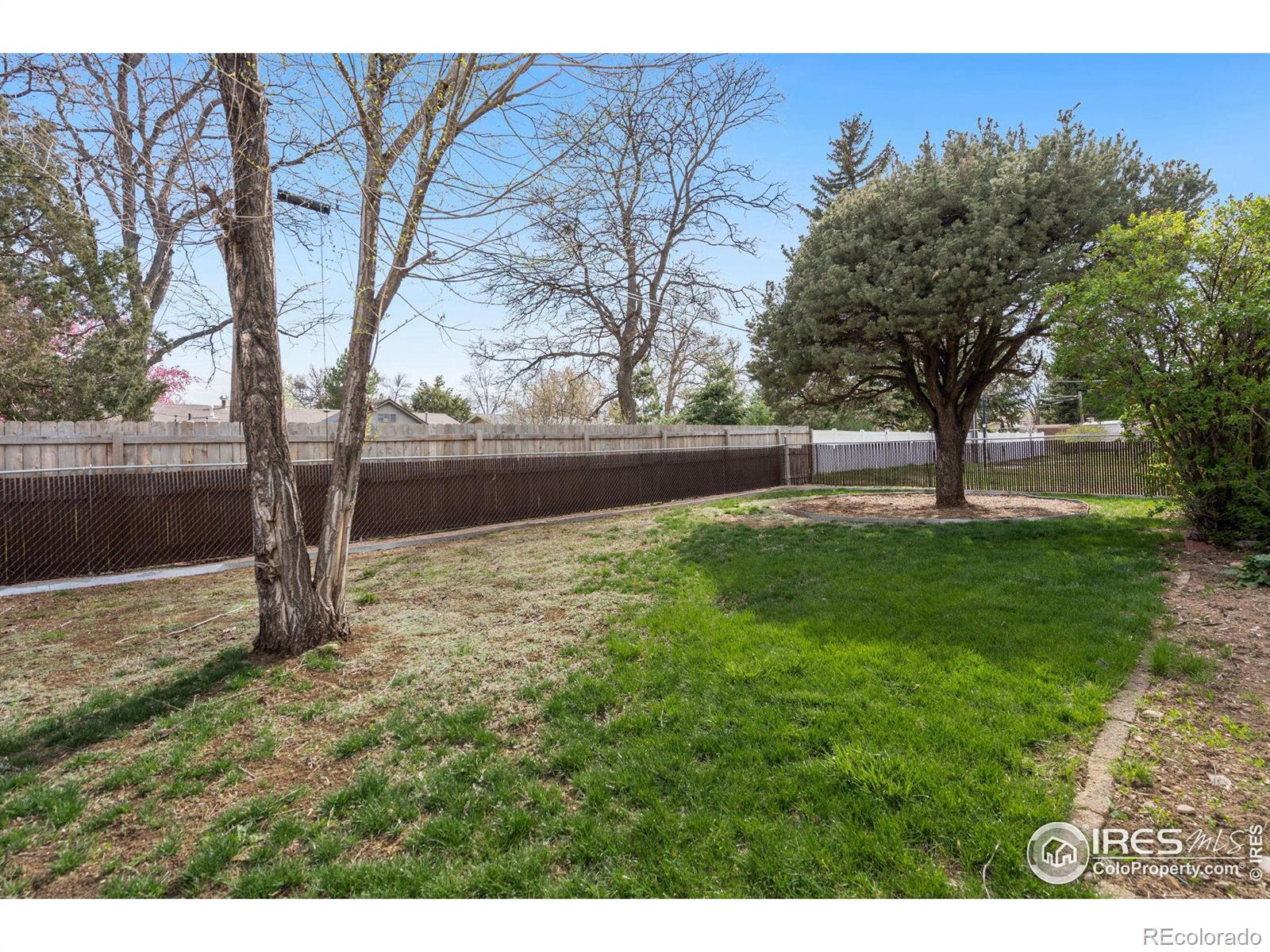 MLS Image #19 for 2405 w elizabeth street,fort collins, Colorado