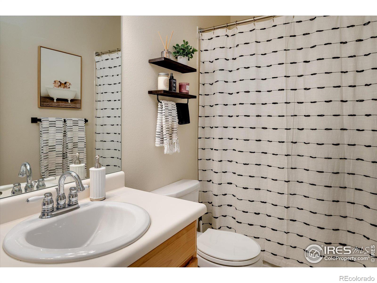 MLS Image #12 for 227  alden drive,loveland, Colorado