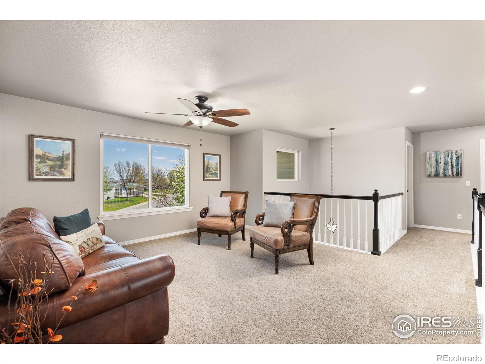 MLS Image #14 for 4938  clearwater drive,loveland, Colorado