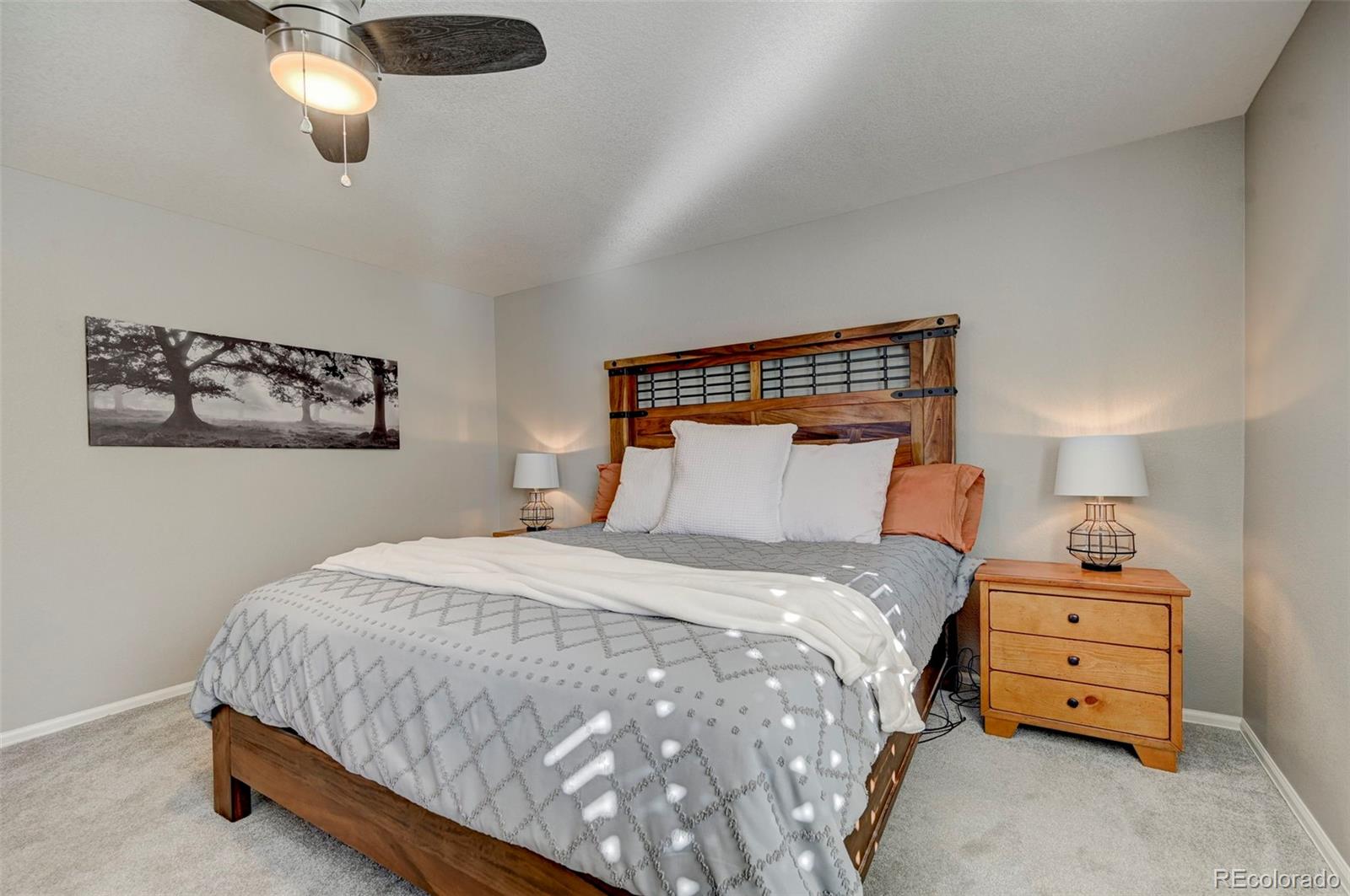 MLS Image #20 for 23461  glenmoor drive,parker, Colorado